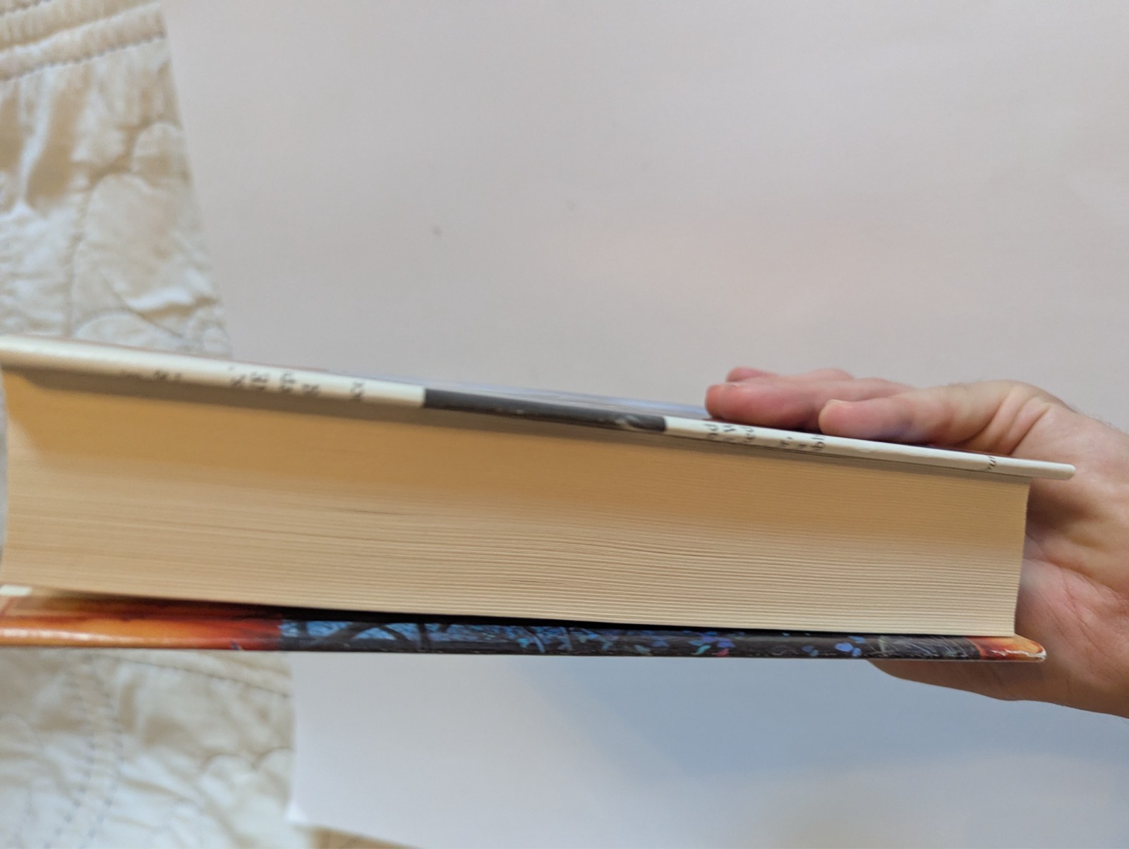 Stone of Farewell – Tad Williams (1990, Hardcover) Book Club Edition BCE – Video