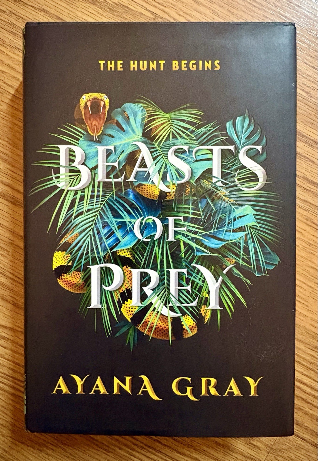 Beast Of Prey – Book by Ayana Gray NEW
