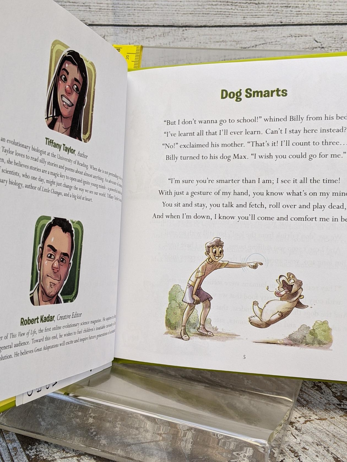 Great Adaptations by Tiffany Taylor 2014 Hardcover