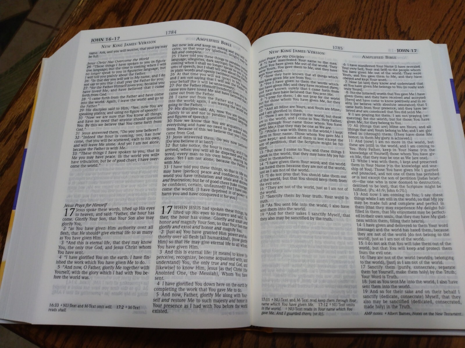 LARGE PRINT NKJV & Classic Amplified 1987 AMPC Parallel Bible Hardcover
