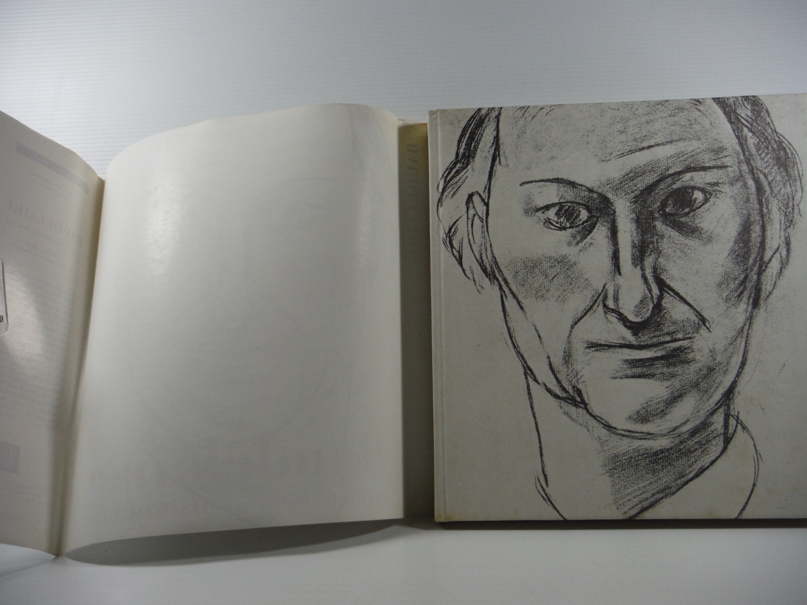 Baudelaire The Artist and His World by Jean Leymarie 1969 Skira biography Art bk