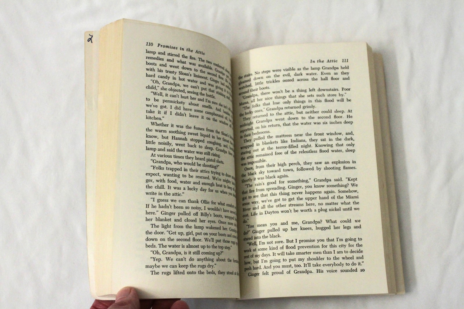 Promises in the Attic by Elisabeth Hamilton Friermood (1975, PB)