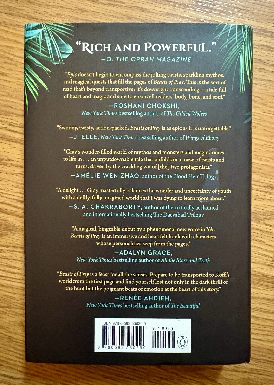 Beast Of Prey – Book by Ayana Gray NEW