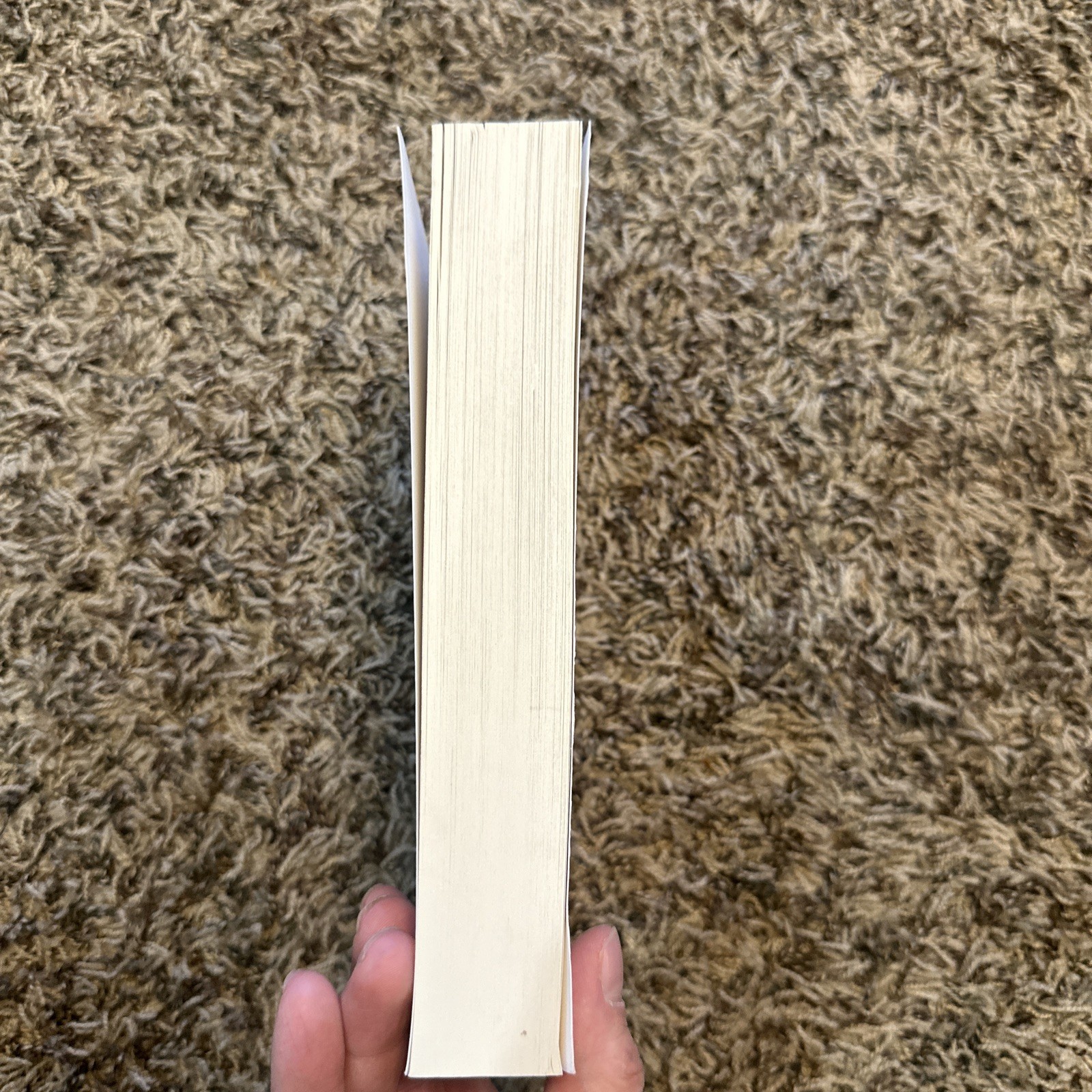 The Q by Beth Brower Paperback No Markings Rhysdon Press 5th Edition