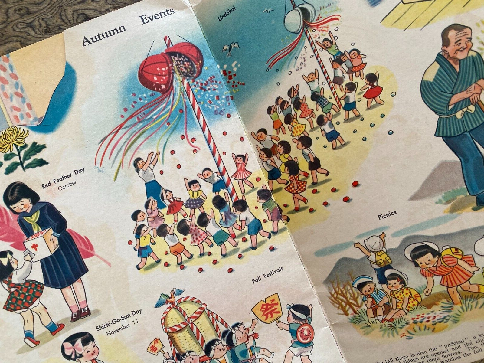 Japanese Language & Picture Book 12 Pages Color 1950s