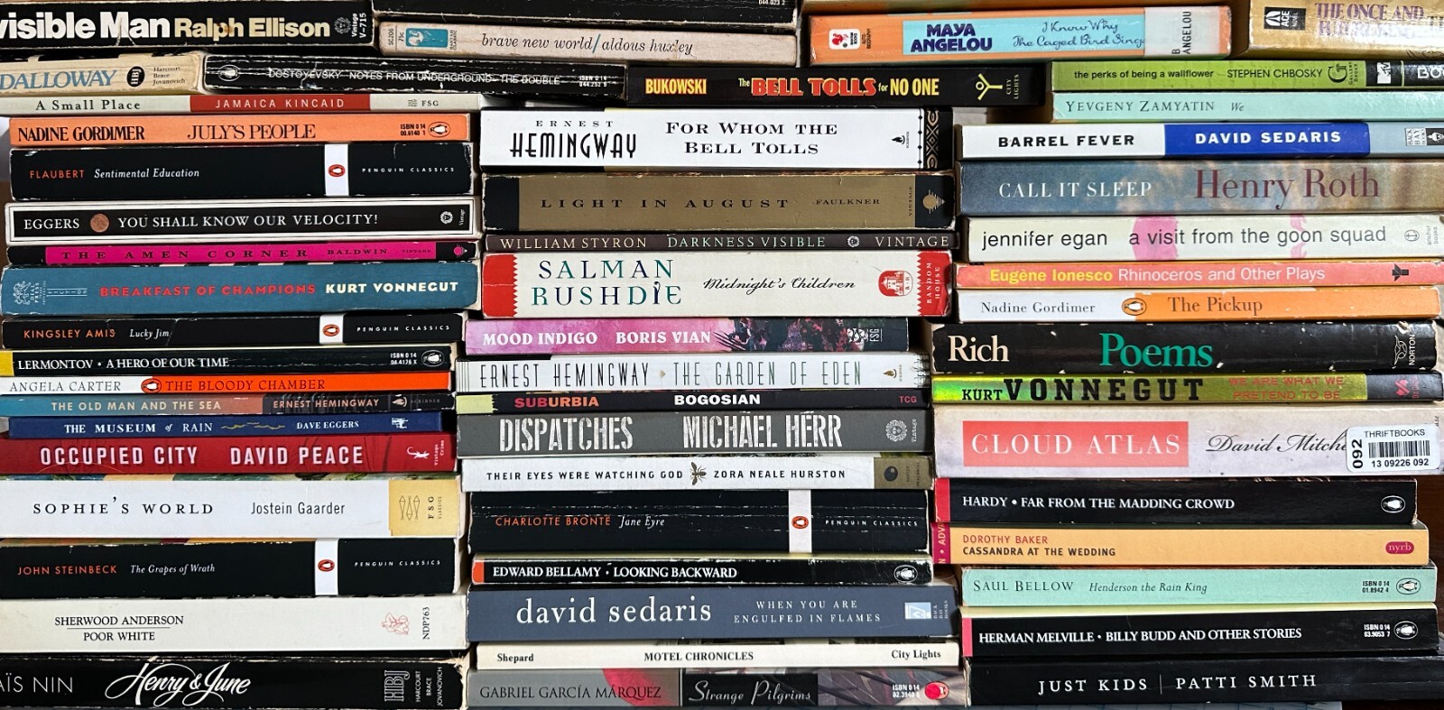 BUILD YOUR OWN LOT Cult Novels Modern Classics Contempo Lit Bundle & Save $2-$6