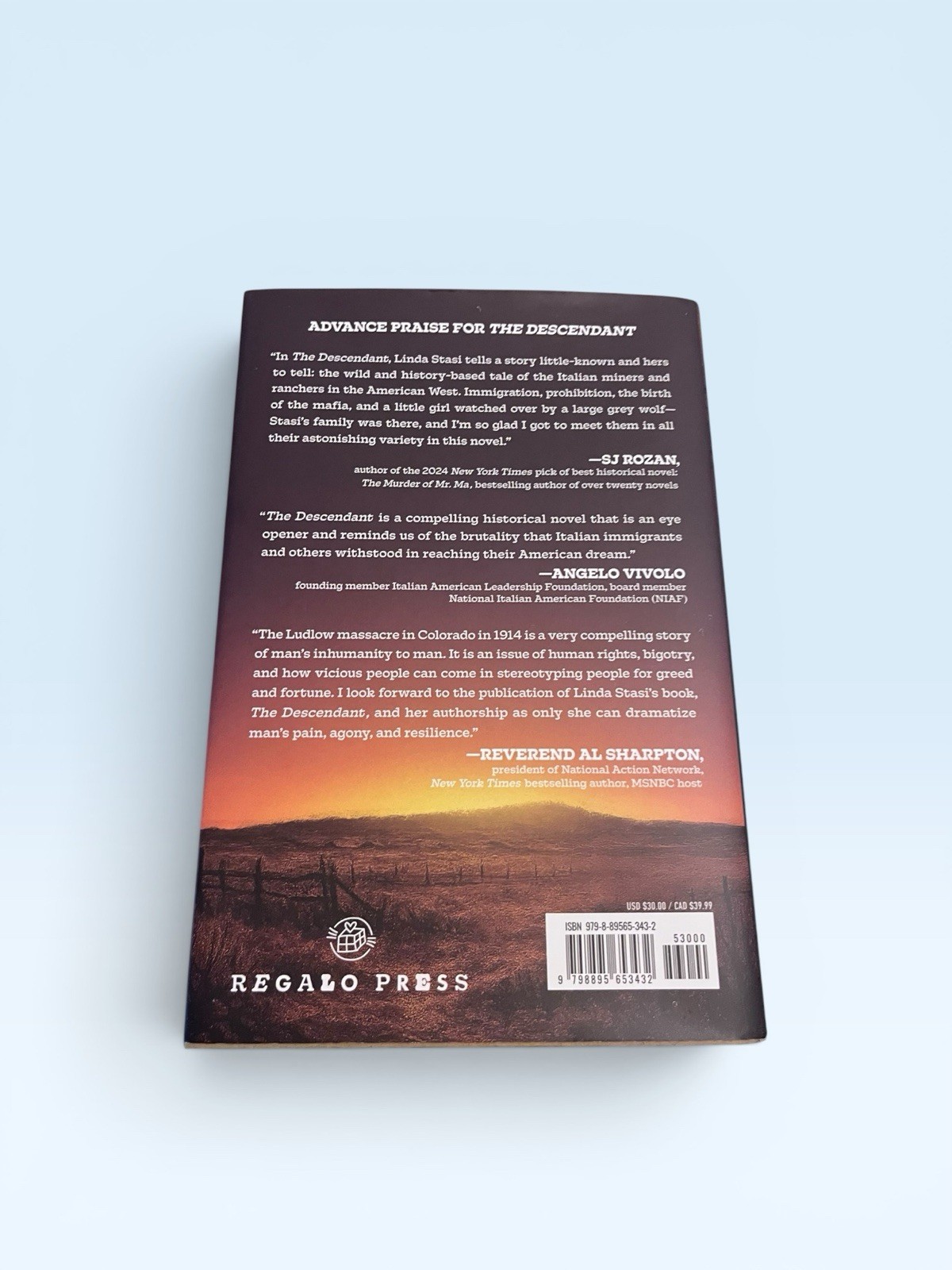 The Descendant Hardcover Linda Stasi