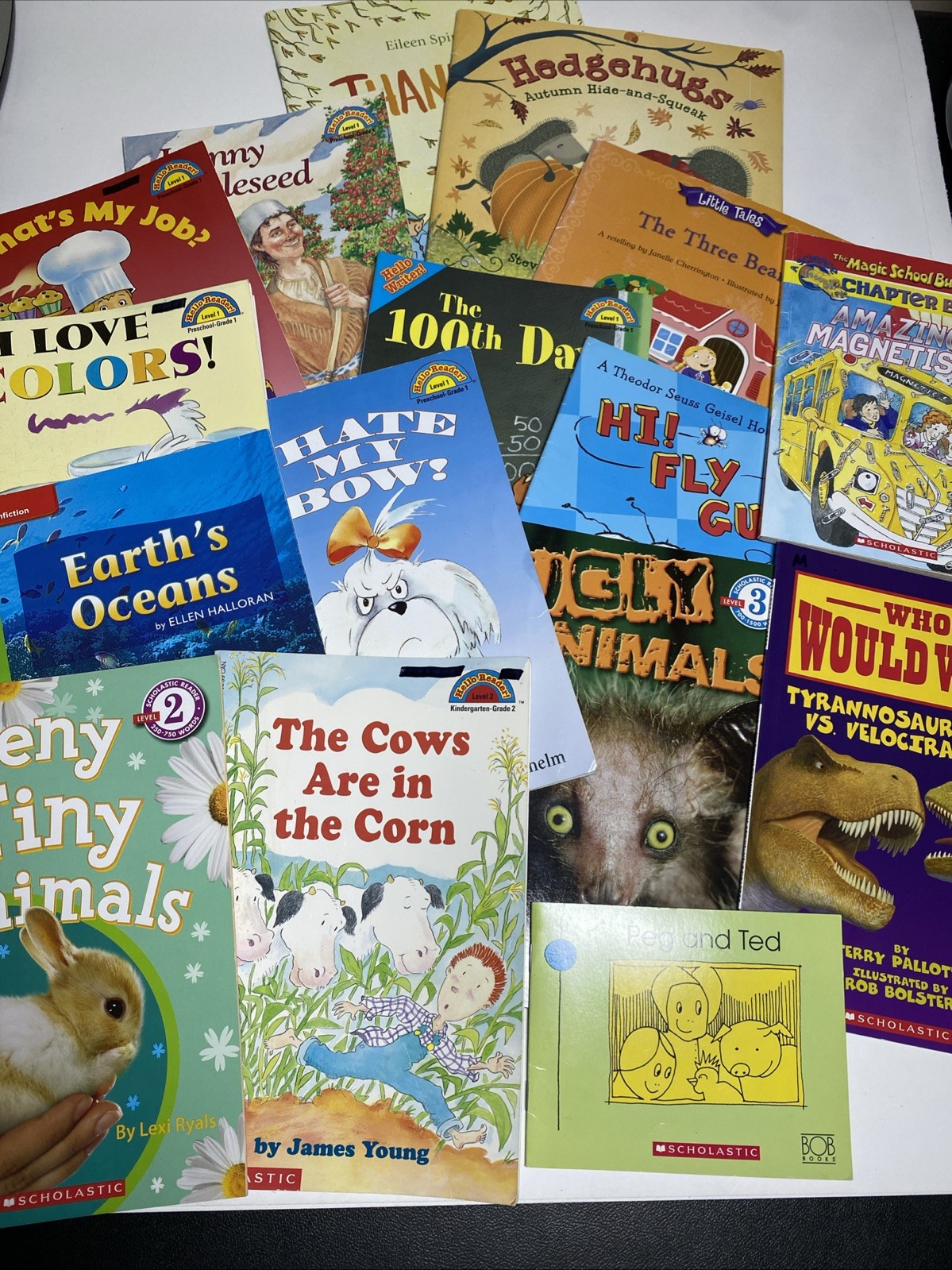 HUGE CHILDRENS BOOK LOT Of 16 Miscellaneous Scholastic Reader
