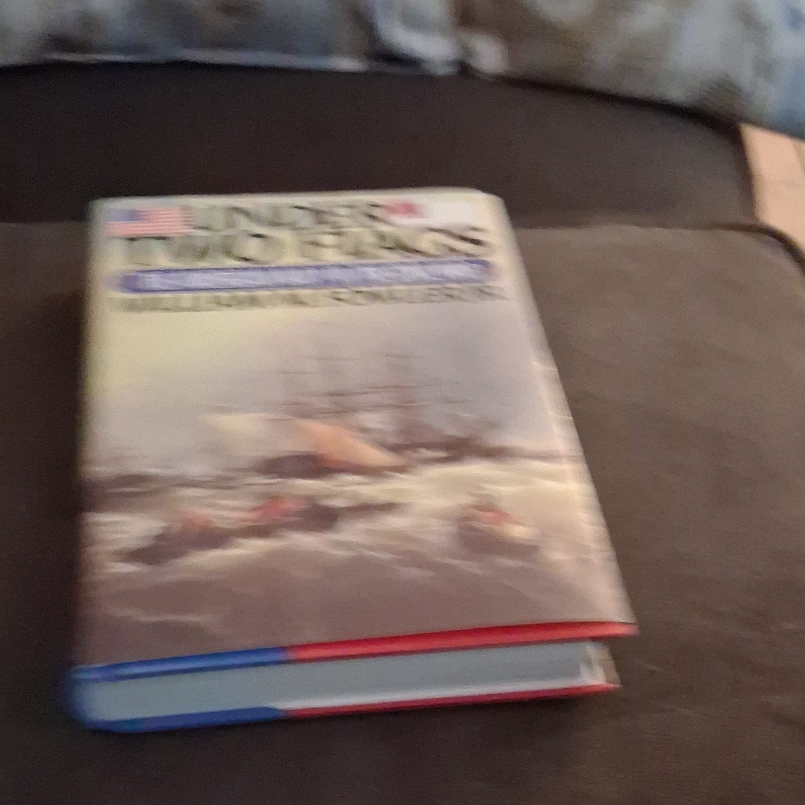 Under Two Flags Hardcover by William M. Fowler Jr. W.W. Norton Civil War Navy