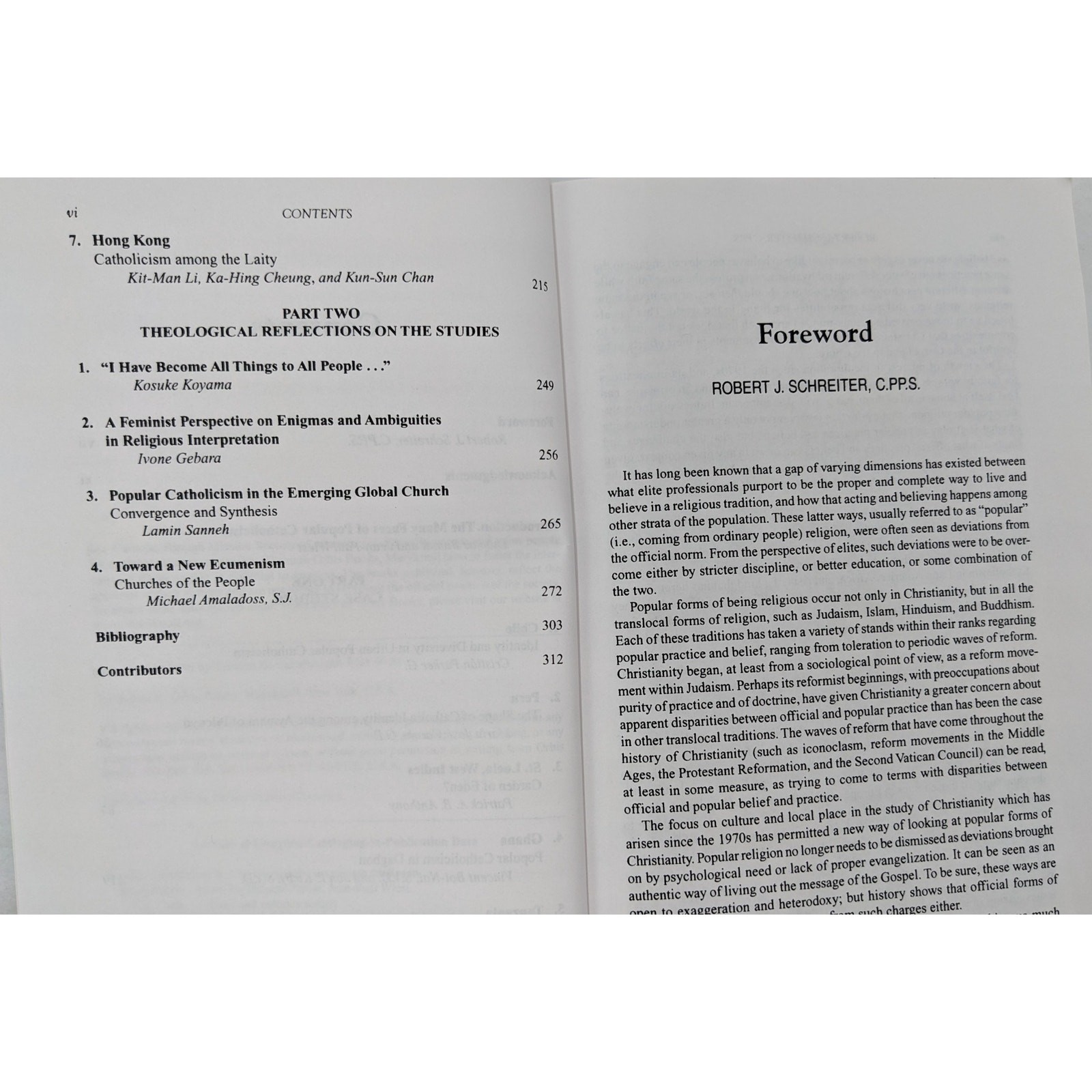 Popular Catholicism In A World Church Seven Case Studies In Inculturation 1999
