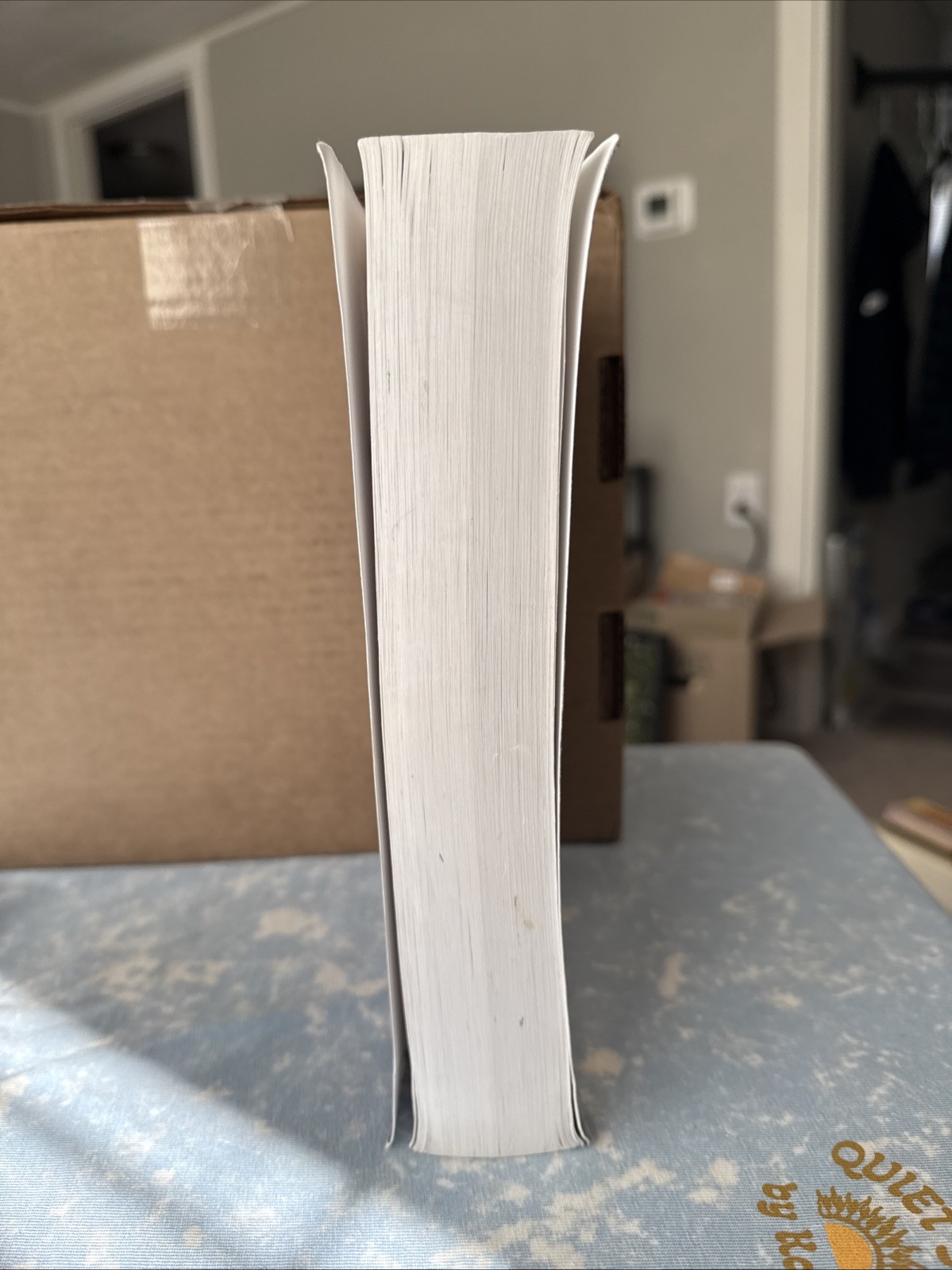 Oxford W. E. B. du Bois Reader by Eric J. Sundquist (1996, Trade Paperback)
