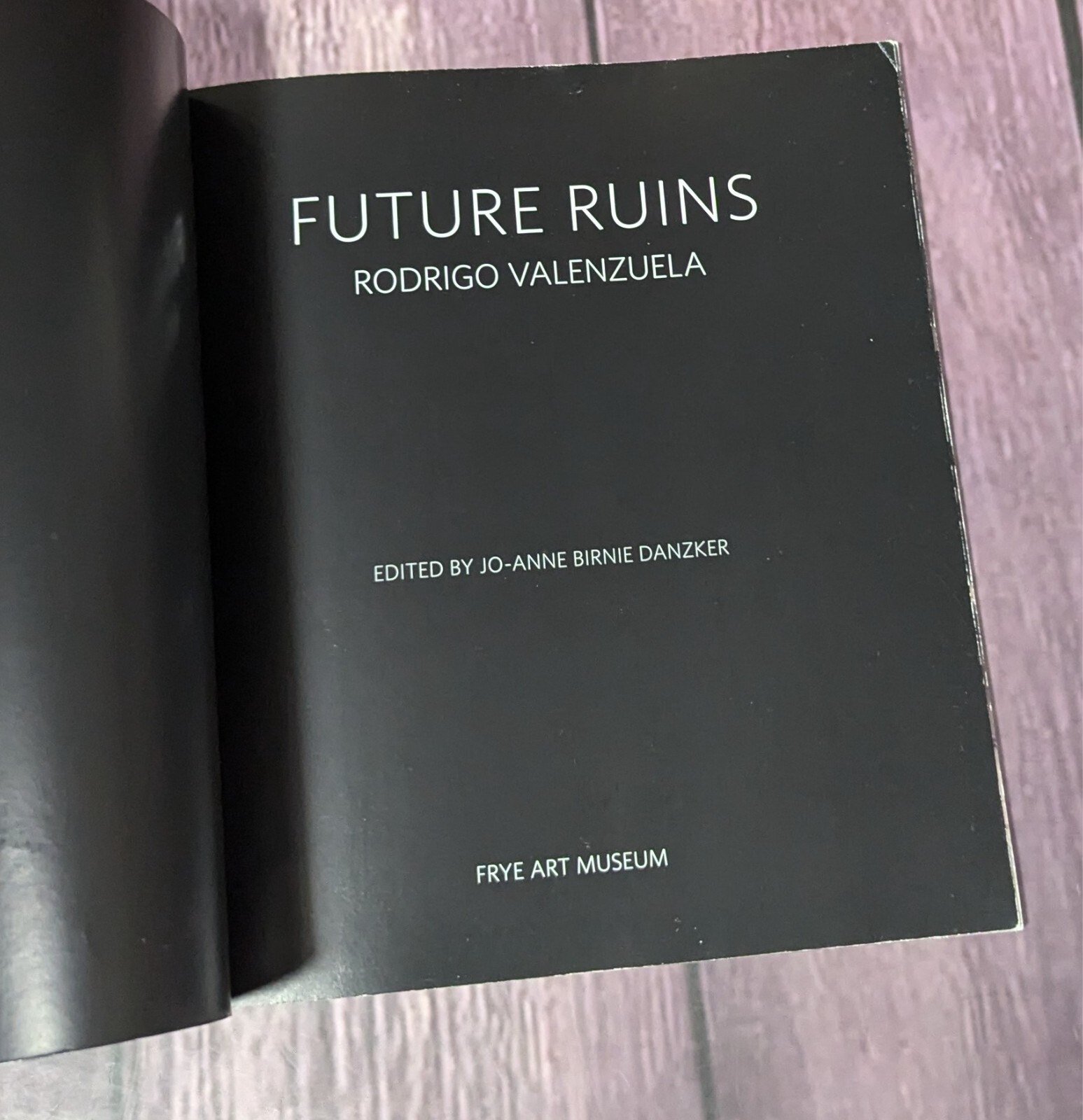 Future Ruins : Rodrigo Valenzuela by Jo-Anne Birnie Danzker – SHIPS FREE!