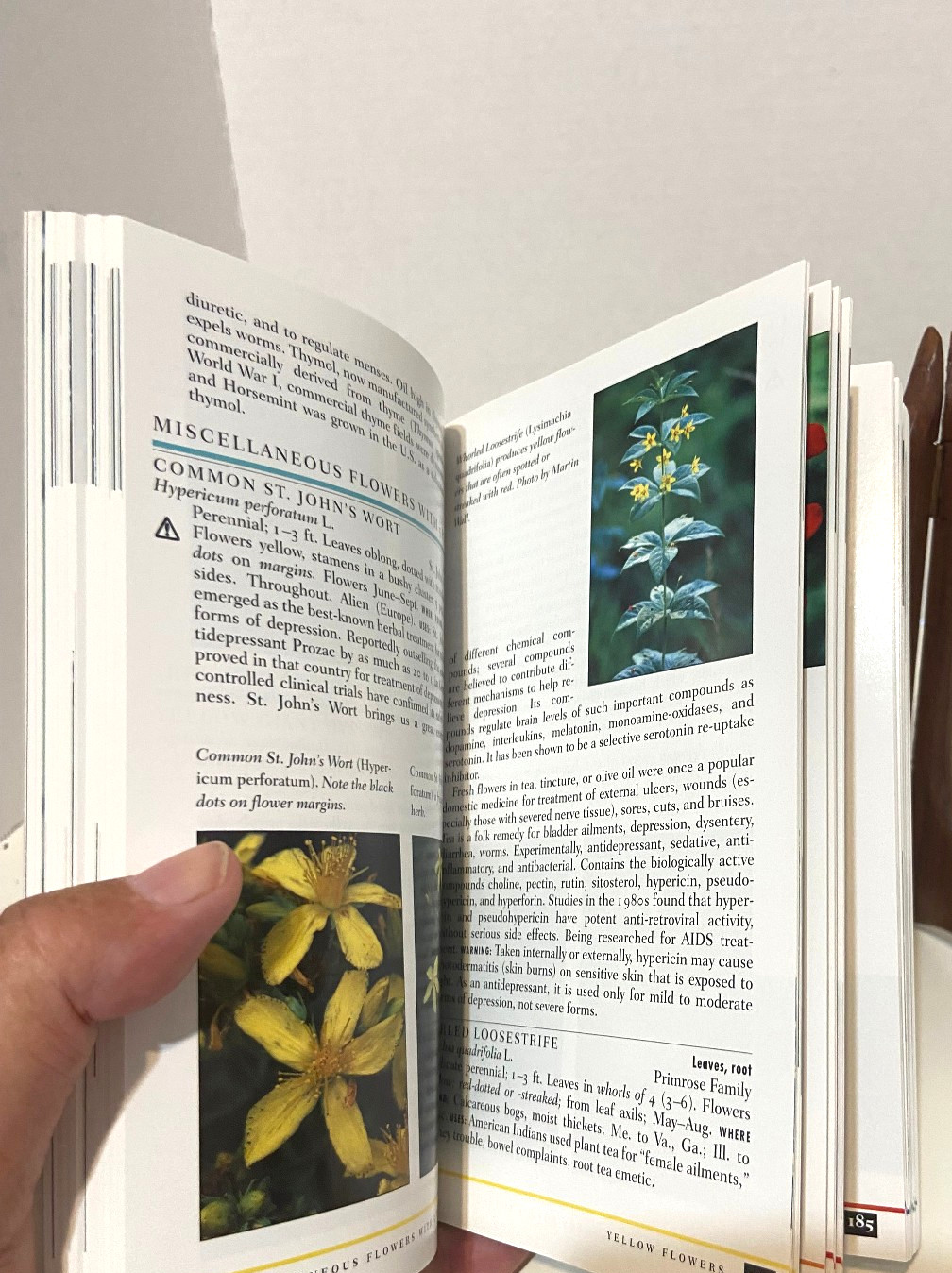 NEW Peterson Field Guide MEDICINAL PLANTS AND HERBS Eastern/Central