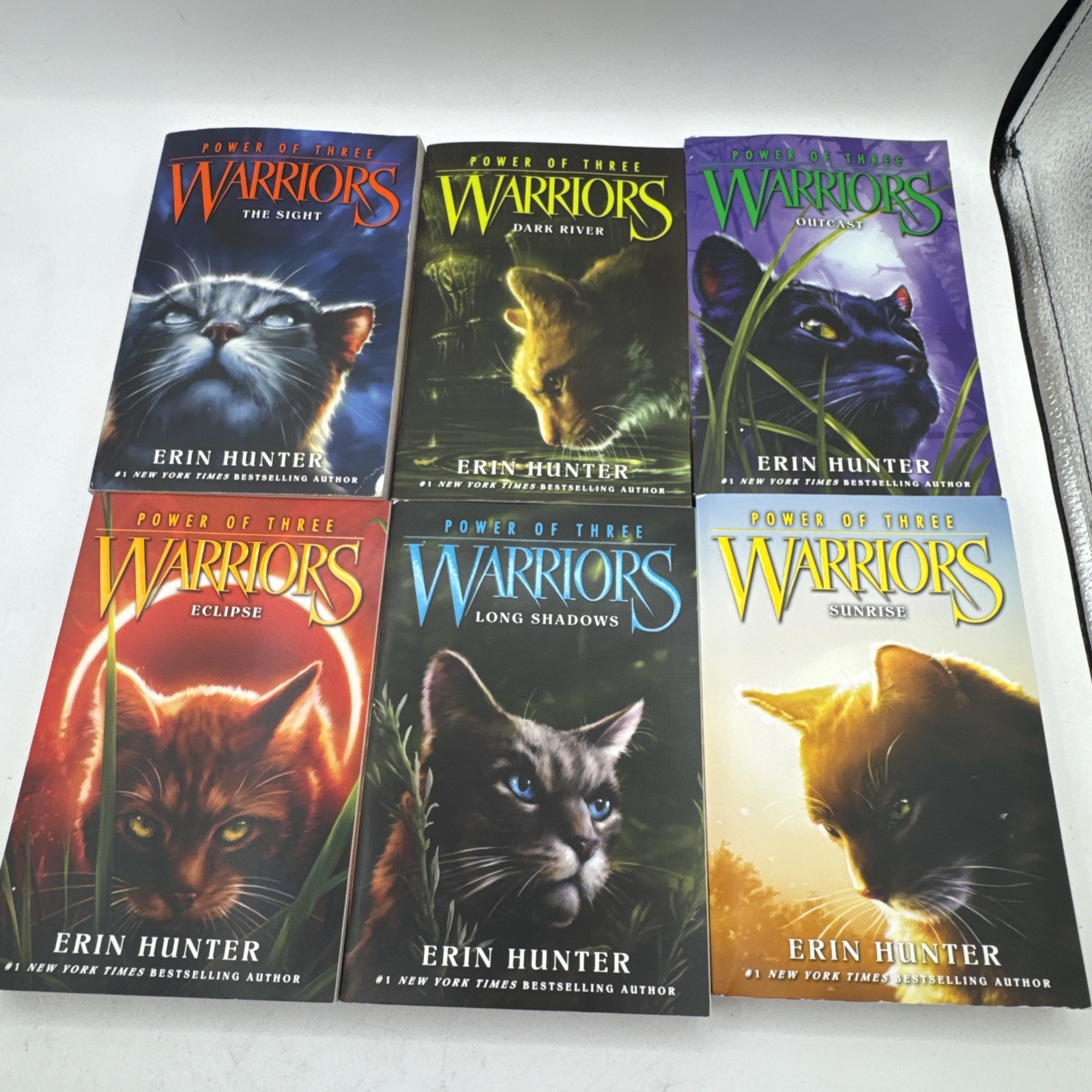 Warriors: Power of Three Box Set: Volumes 1 – 6 Paperback, by Hunter Erin