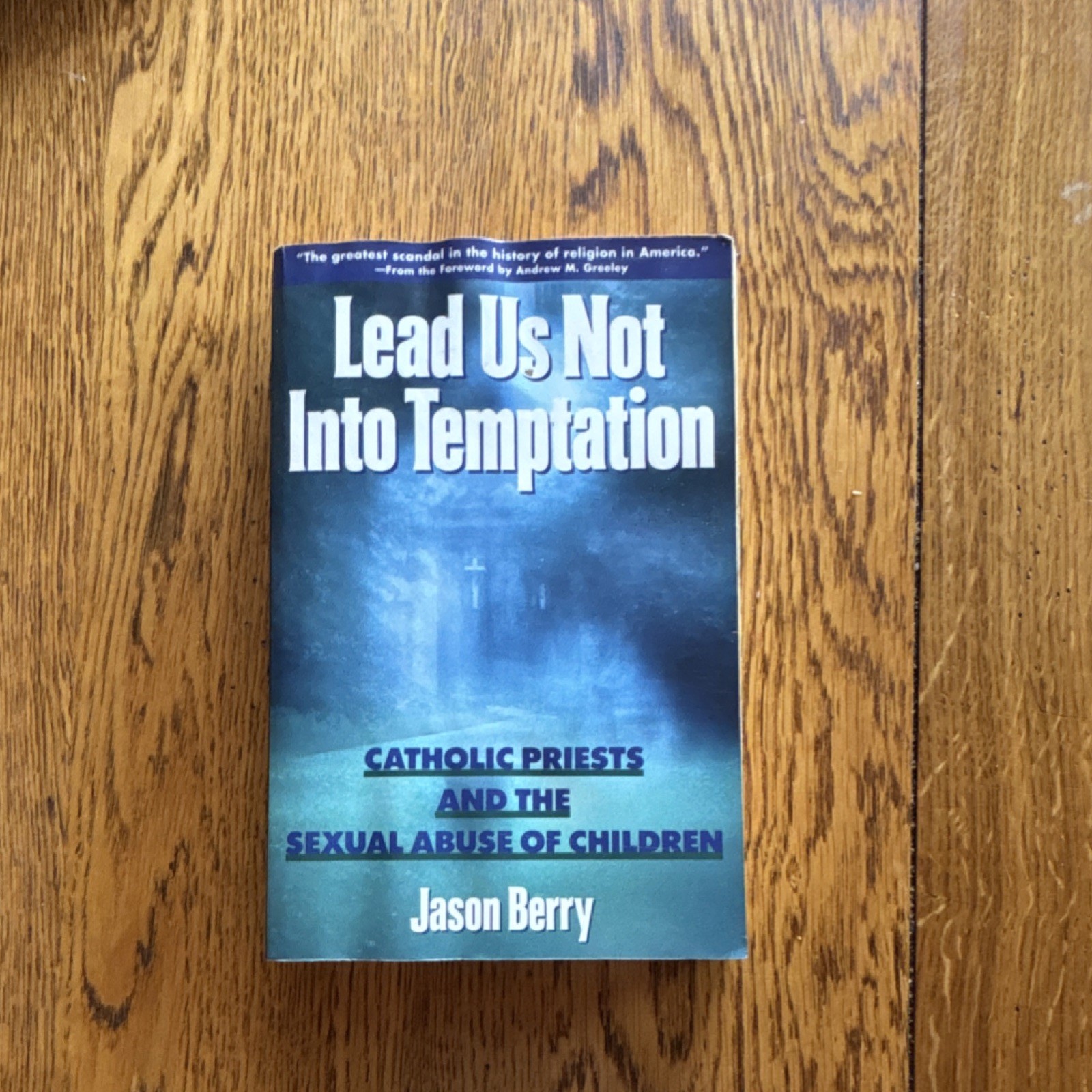Lead Us Not Into Temptation by Jason Berry Paperback Catholic Priests Abuse Book