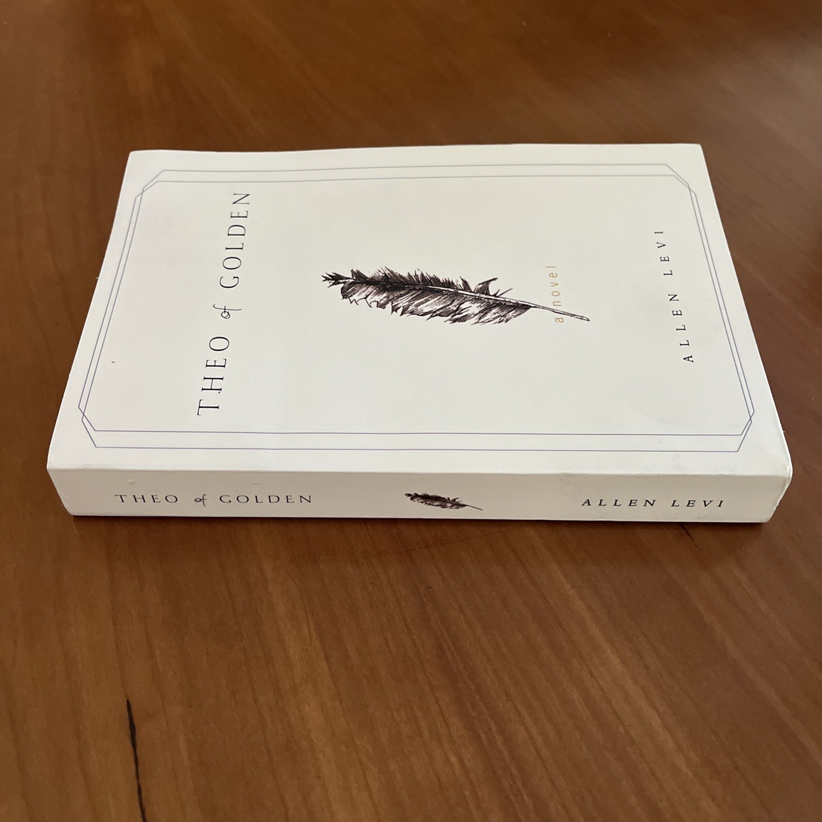 Theo of Golden Allen Levi RARE SELF PUBLISHED True 1st Edition STATED TPB