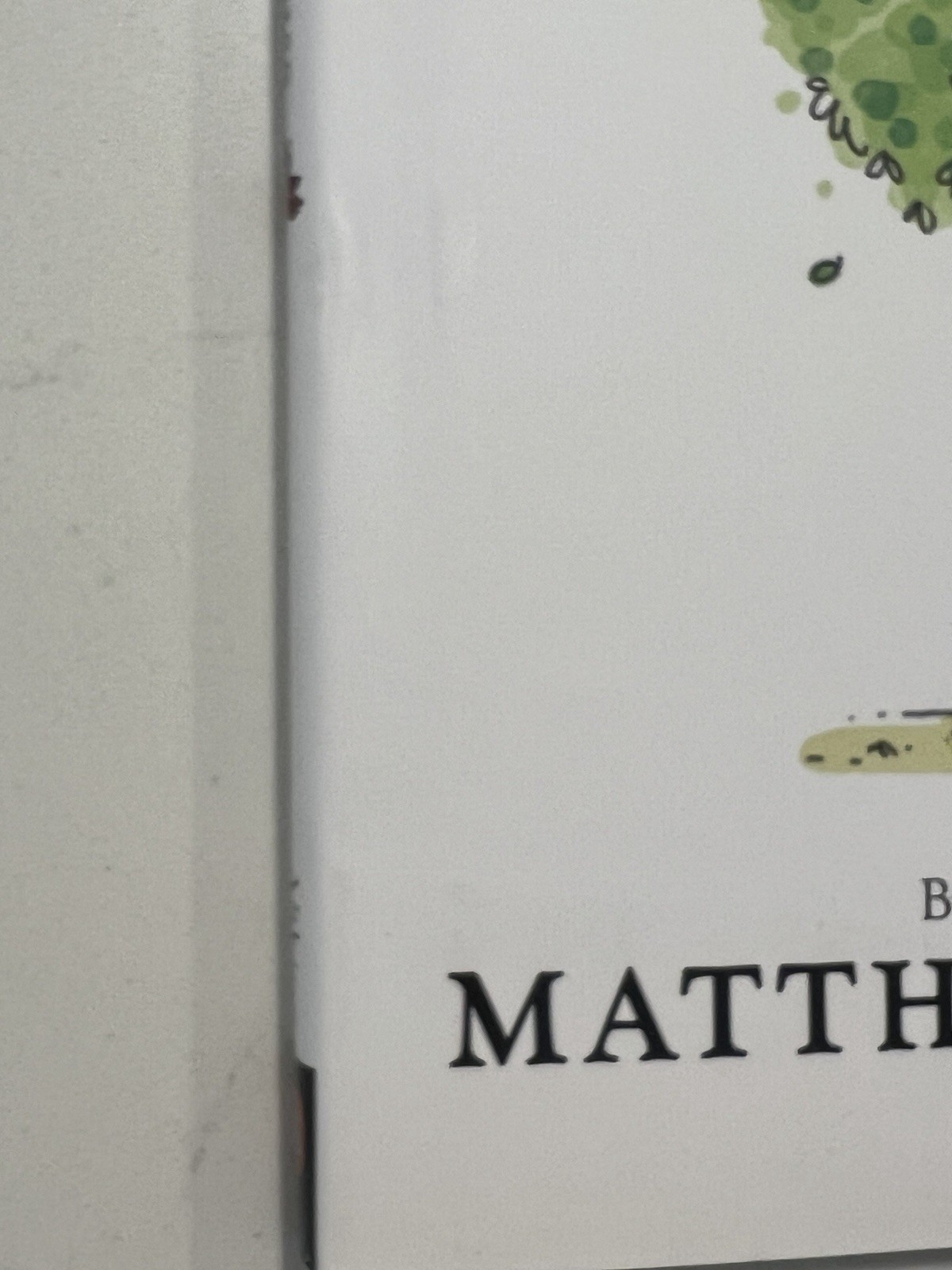 AUTOGRAPHED Matthew McConaughey SIGNED Book Just Because AUTOGRAPH #2