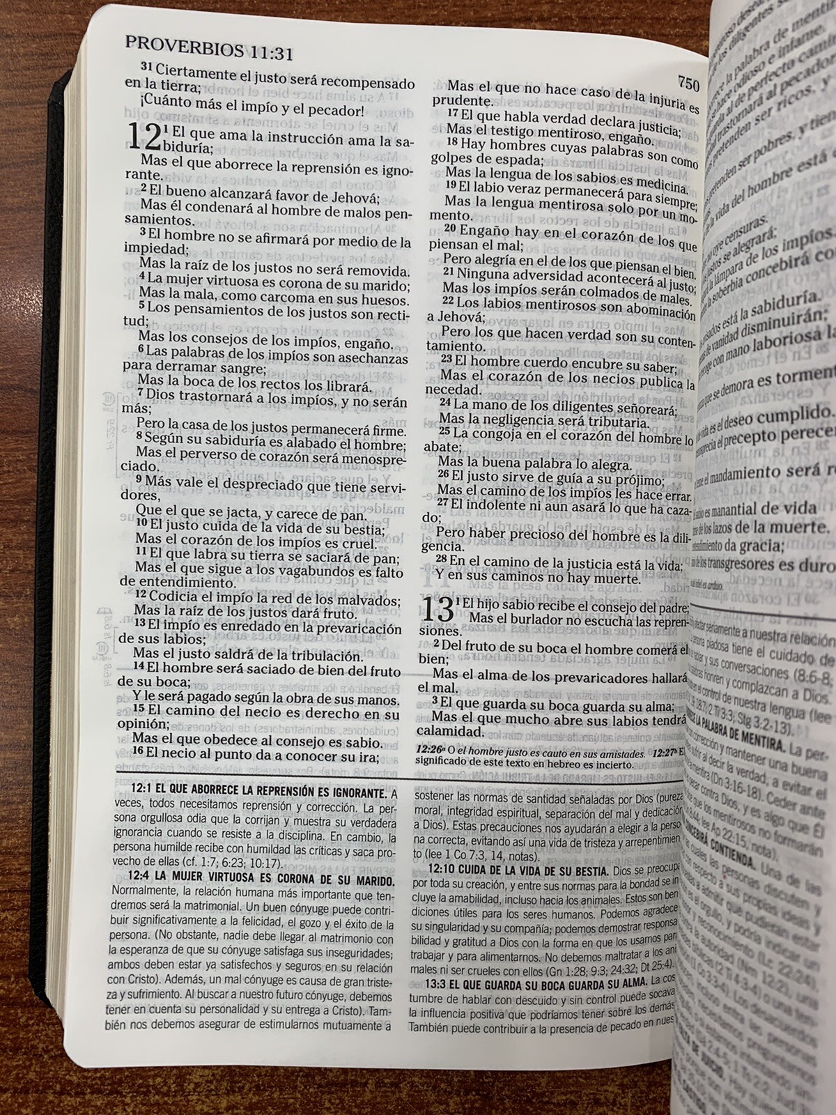 BIBLIA DE ESTUDIO DE LA VIDA PLENA PARA JÓVENES REINA VALERA 1960 NEGRO PIEL IMI