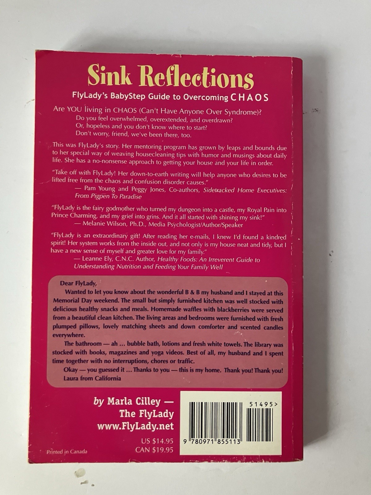 Sink Reflections: FlyLady’s BabyStep Guide to Overcoming CHAOS – ACCEPTABLE