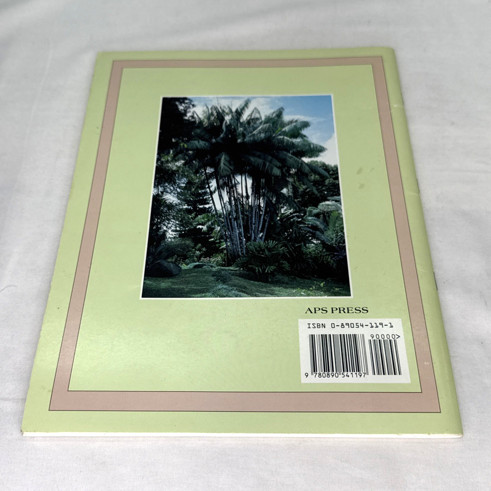 Diseases and Disorders of Ornamental Palms by A.R. Chase and T.K. Borscht