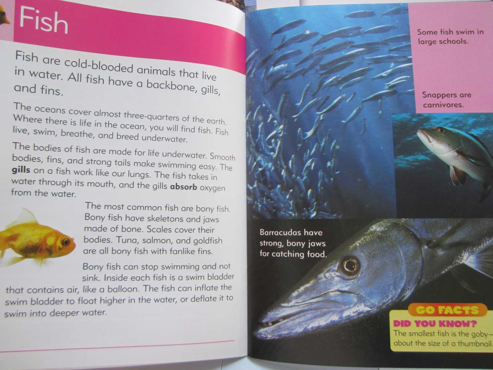 Lot of 2 NEW Go Facts Science: Sea Life & Flowers Newbridge Paperbacks Ages 6-9