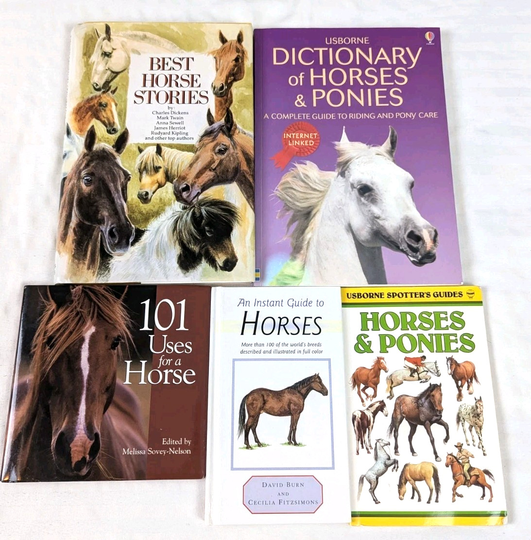 Horse Pony Equestrian Riding Training Horsemanship Dressage Eventing Lot of 13
