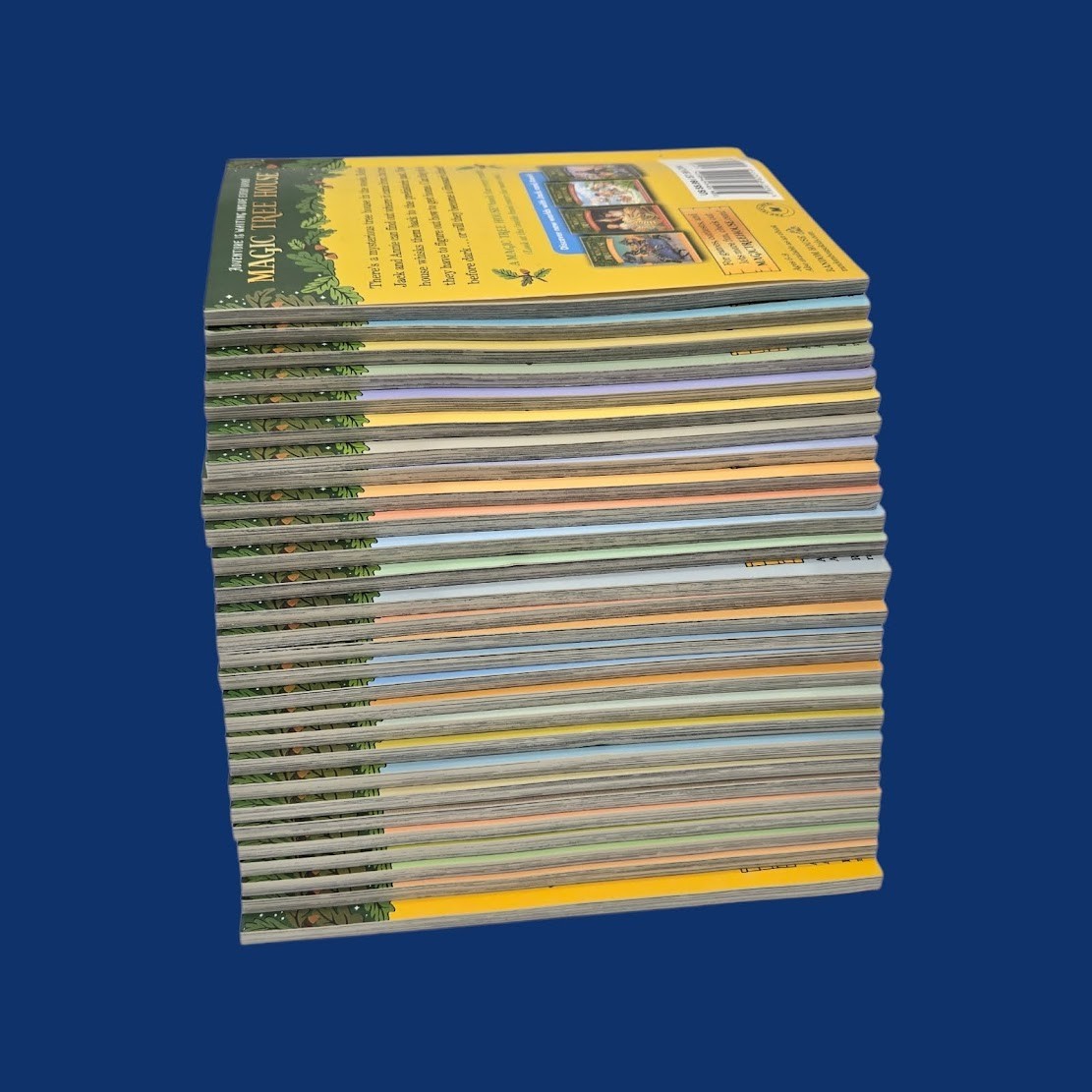 Set 2A: Magic Tree House A Library of Books 1-28 – Mary Pope Osborne Collection