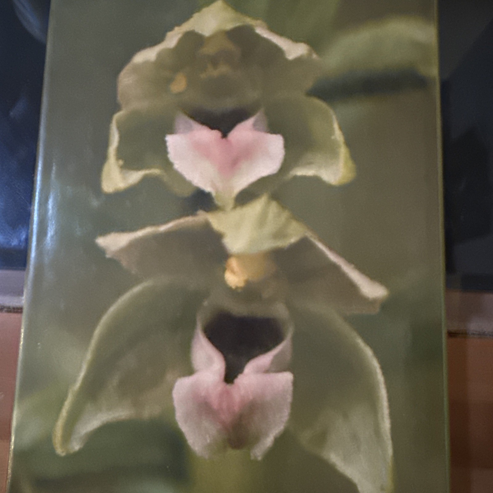 Orchids of Britain: A Field Guide by Lang, David C. Hardback Book The Fast Free