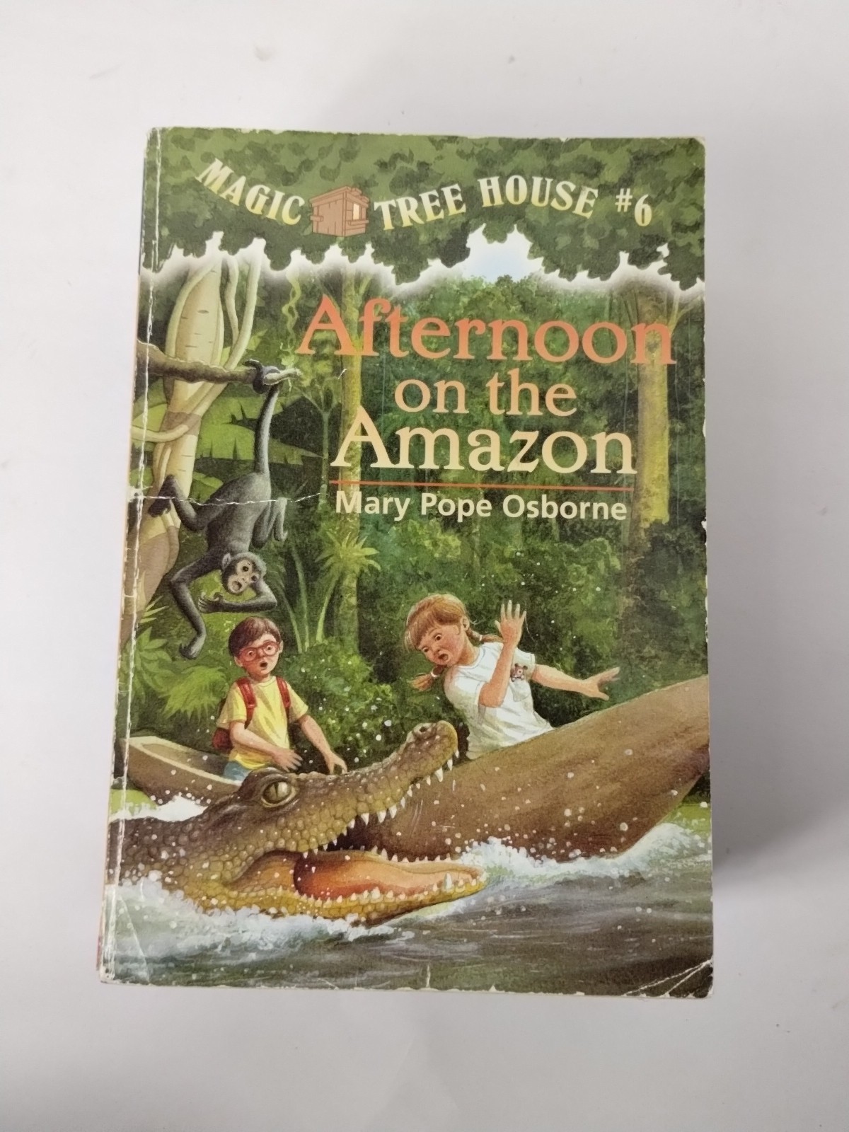 Miscellaneous Lot Of 14 Magic Tree House Books Mary Pope Osborne PB