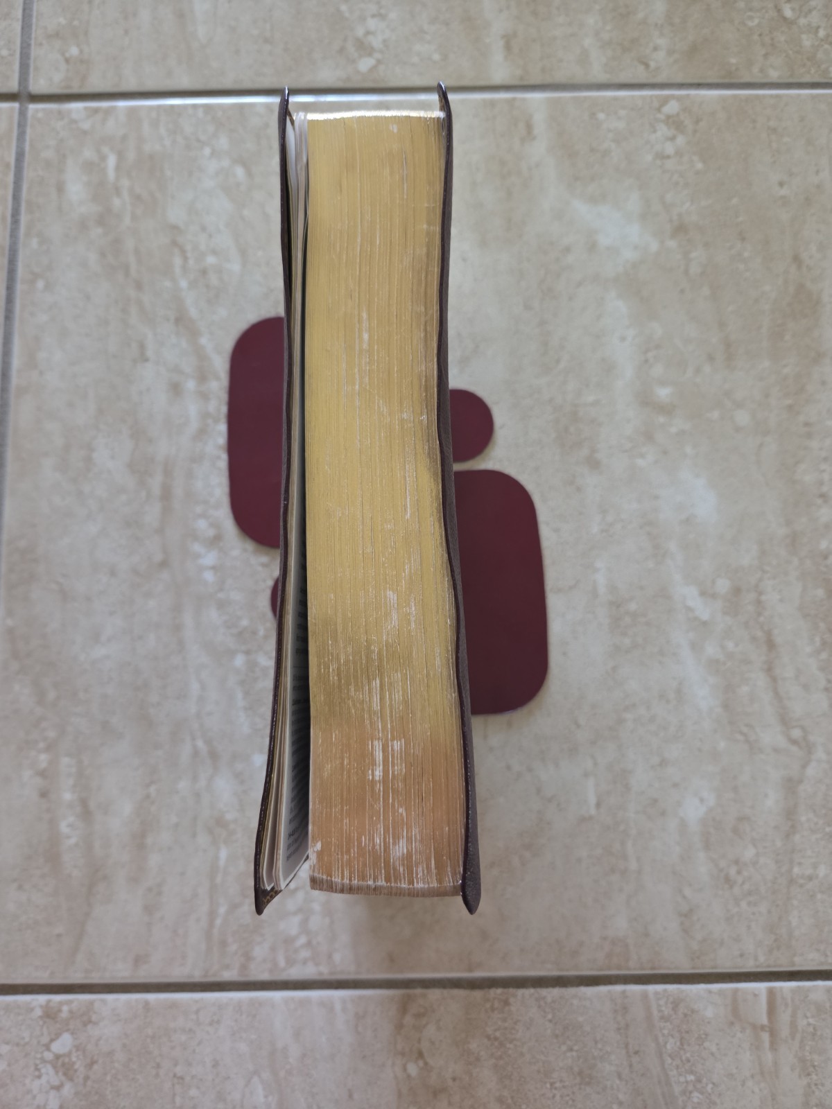The Reformation Study Bible ESV 2005 Burgundy Genuine Leather Ligonier
