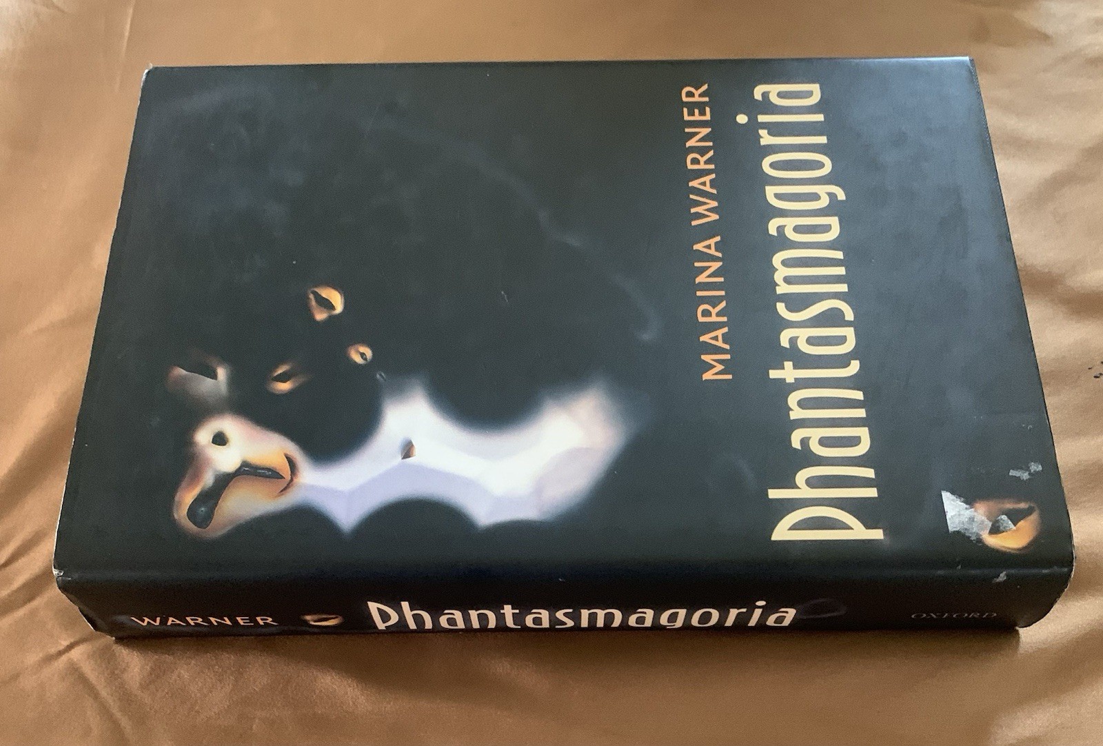 Phantasmagoria : Spirit Visions, Metaphors, and Media into the Twenty-First…