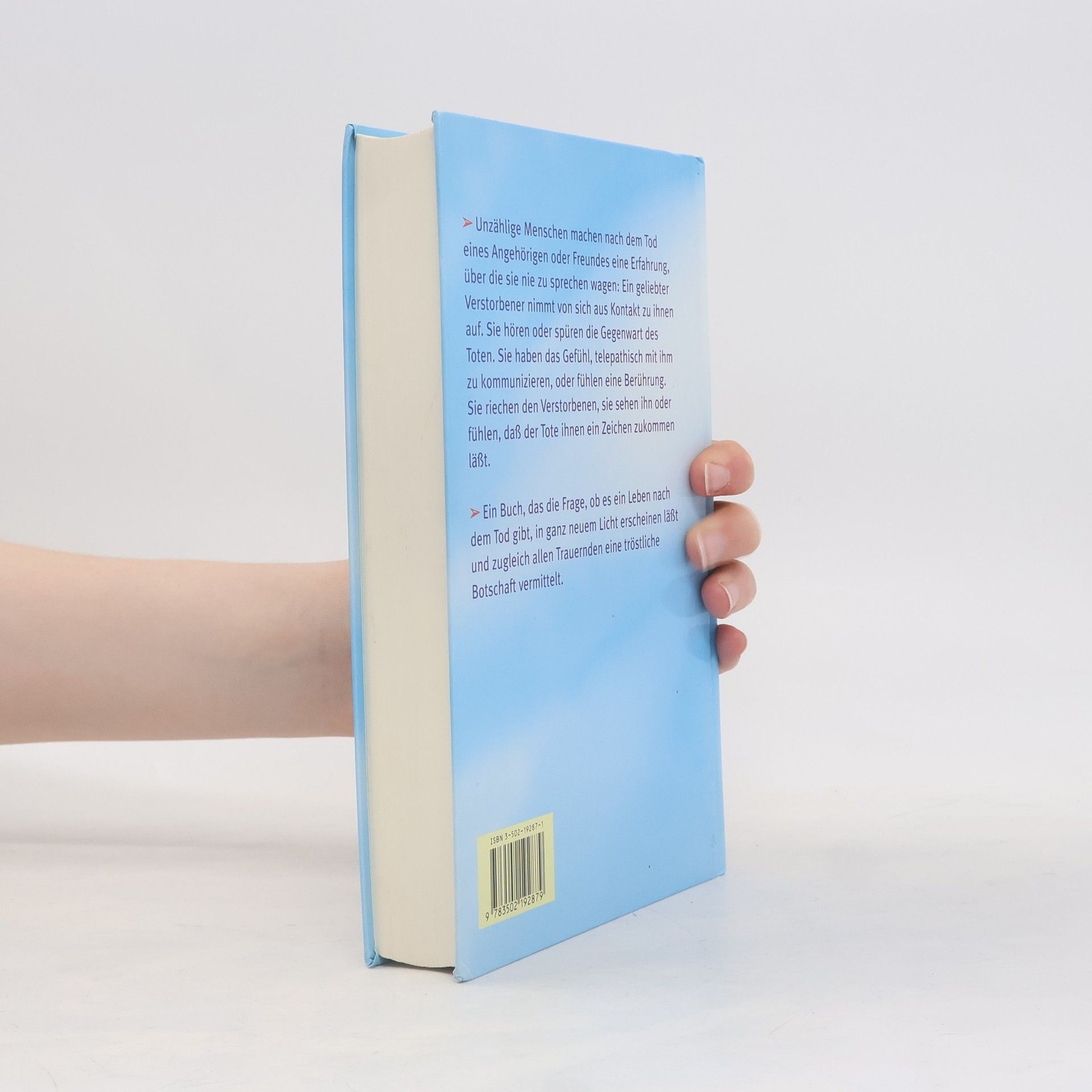 Trost aus dem Jenseits  |  Bill Guggenheim