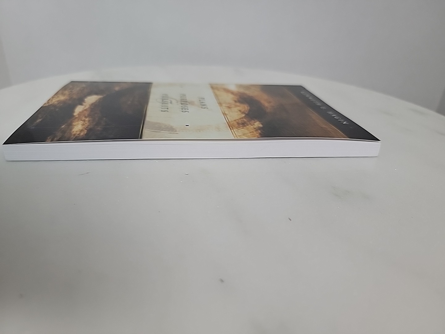 Plans, Purposes, and Pursuits Hardcover – Kenneth E. Hagin Book