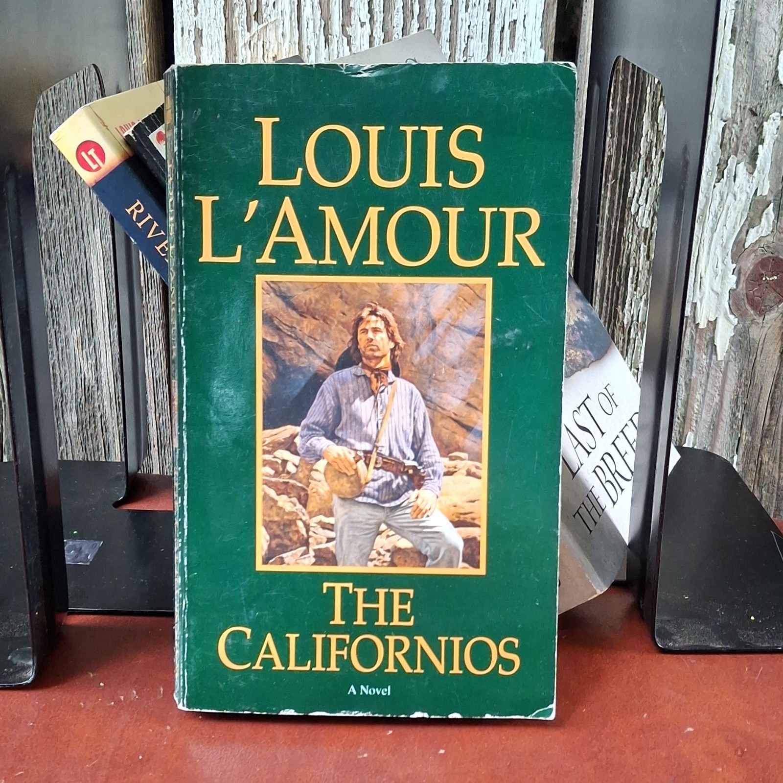Louis L’Amour Western Lot (18 Books) Frontier Adventure Set