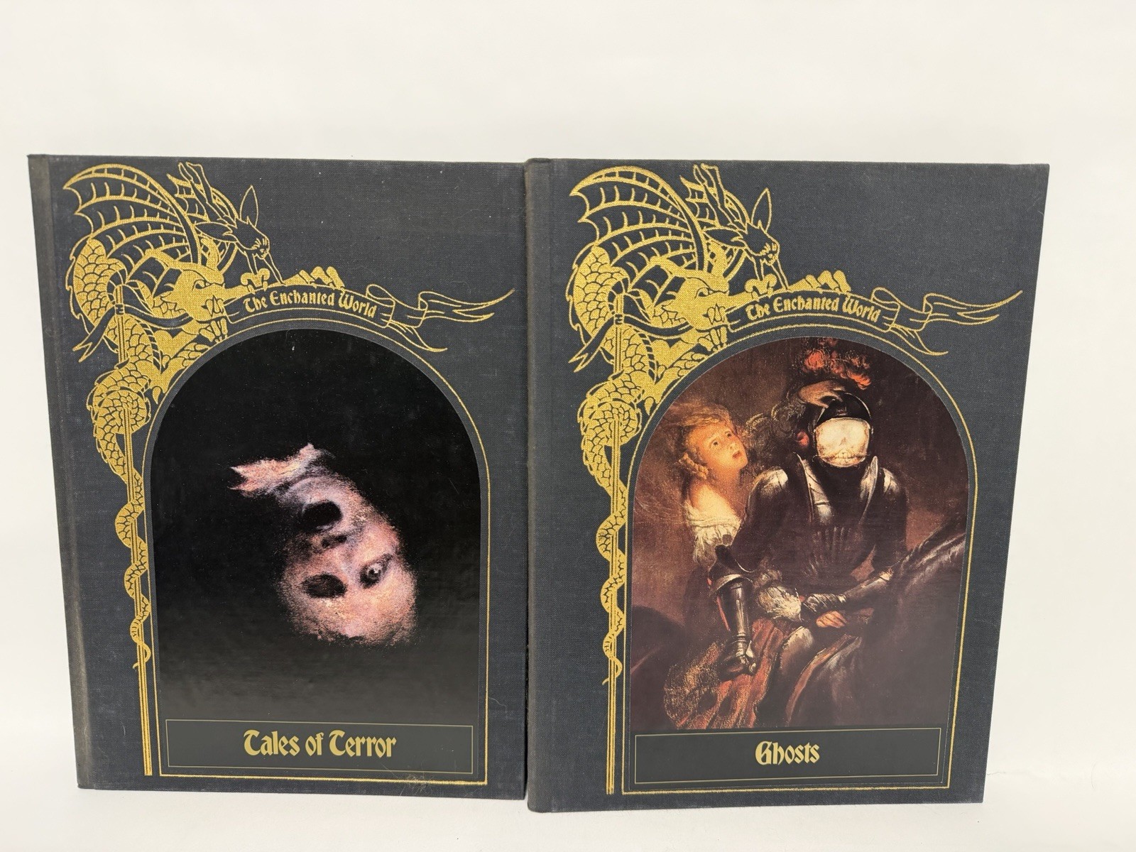 The Enchanted World COMPLETE SET 21 Time-Life Books Fantasy Folklore HC Full Lot