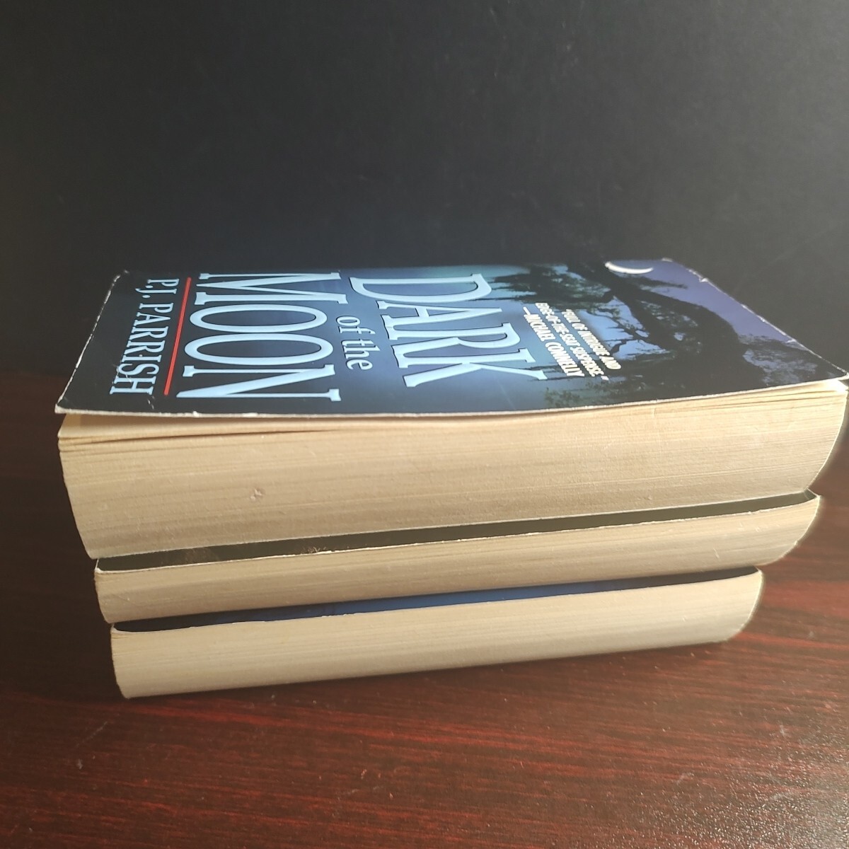 Mystery Thriller Paperback Book P J Parrish Investigation Murder Crime 3x