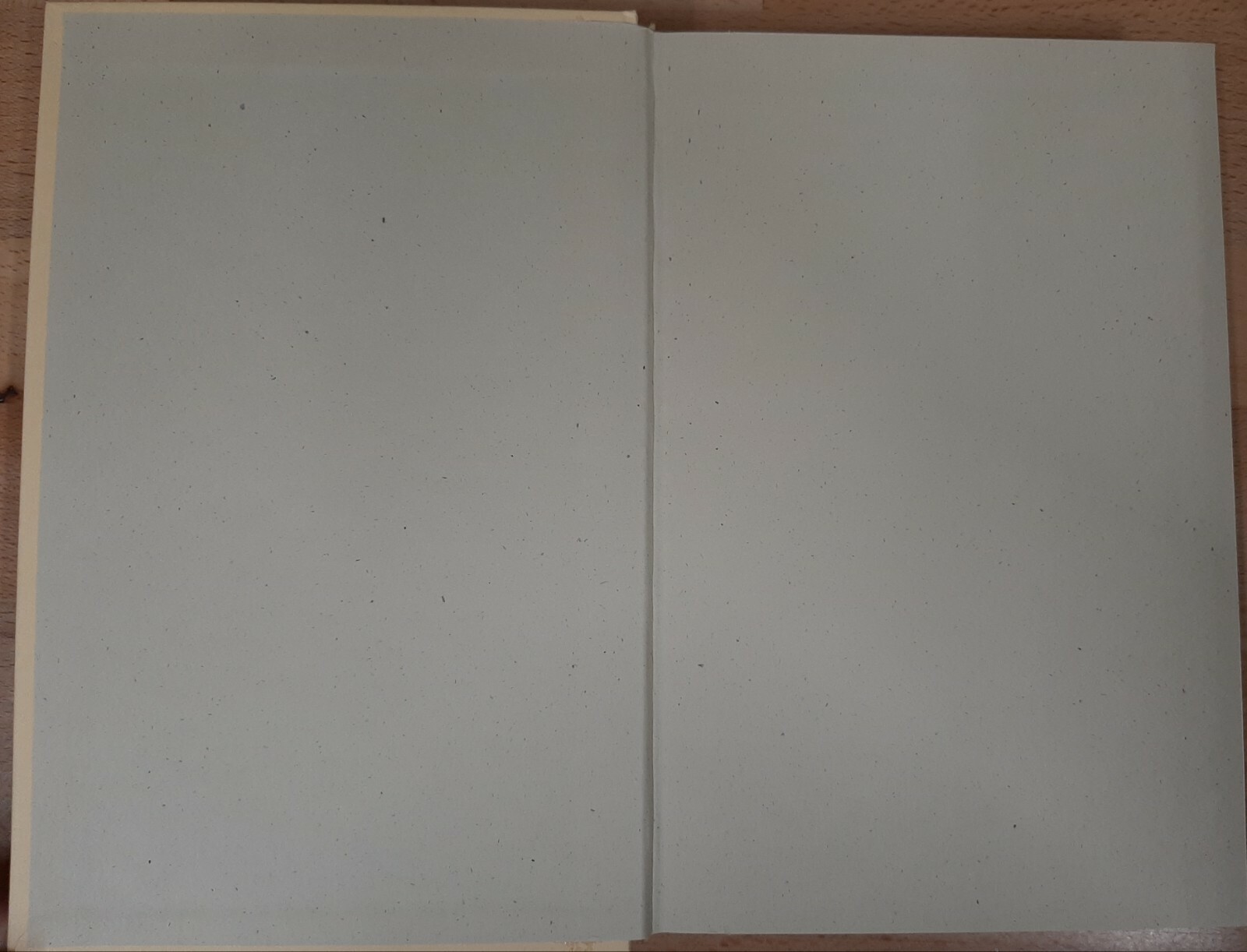 Book of Judas~Linda Stasi~381 pages~2017~1st Edition~H/C~D/J~Very Good Condition