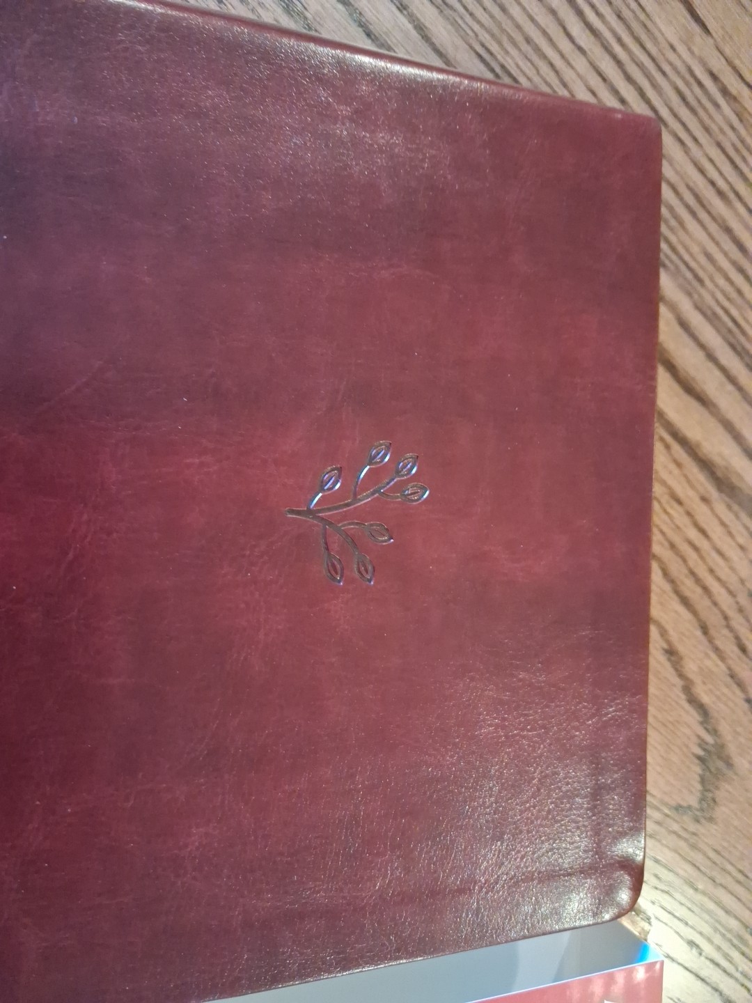 Amplified Bible XL Edition ~Retail $52.99~ Burgundy Leathersoft LARGE PRINT 12.5