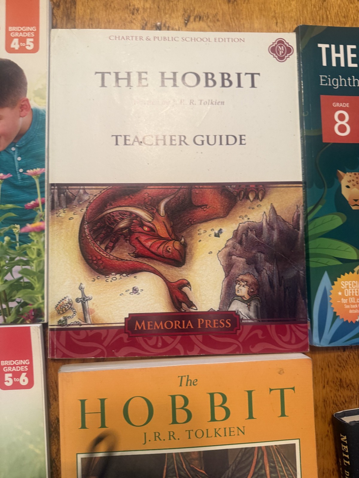 lot of 16 homeschooling books kp16