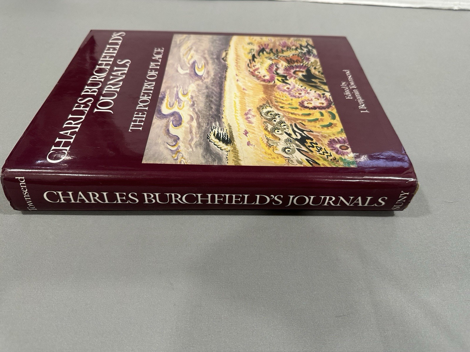 Charles Burchfield’s Journals The Poetry of Place by Charles Burchfield 1992
