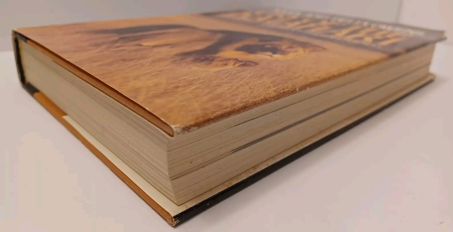 Cry of the Kalahari by Mark & Delia Owens – 1984 – RARE – HC/DJ – 1ST Edition