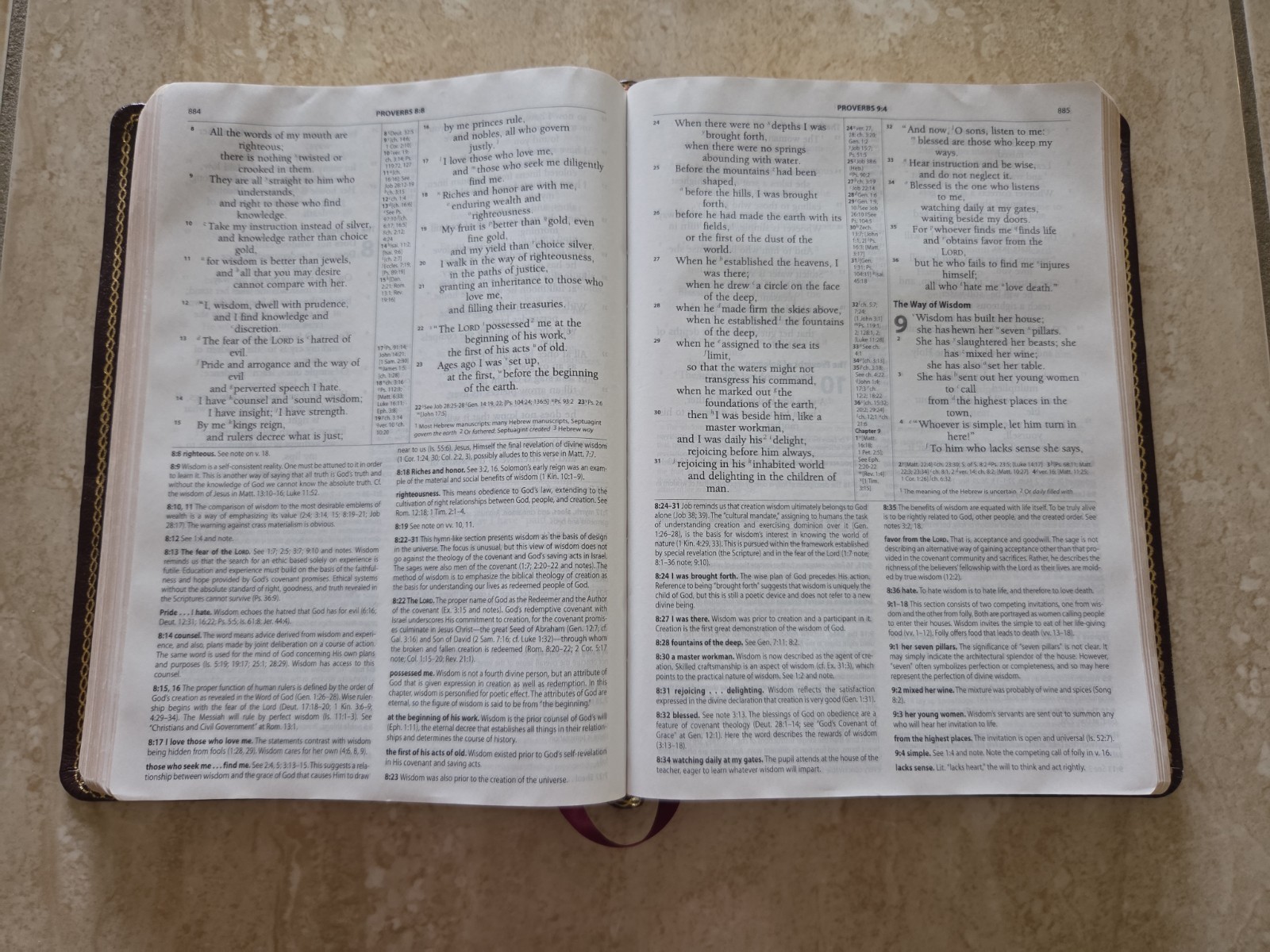 The Reformation Study Bible ESV 2005 Burgundy Genuine Leather Ligonier