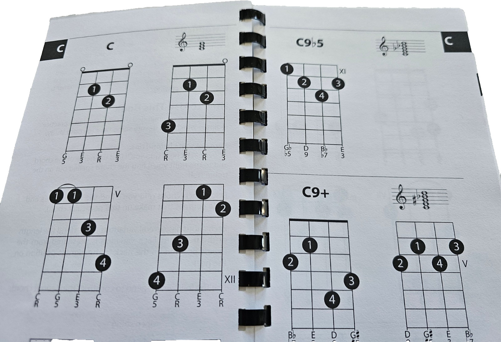 2004 MANDOLIN CHORDS Gig Bag Series 1100+ CHORD DIAGRAMS Music BLUEGRASS Amsco
