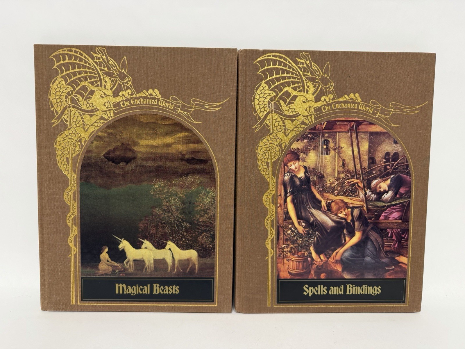 The Enchanted World COMPLETE SET 21 Time-Life Books Fantasy Folklore HC Full Lot