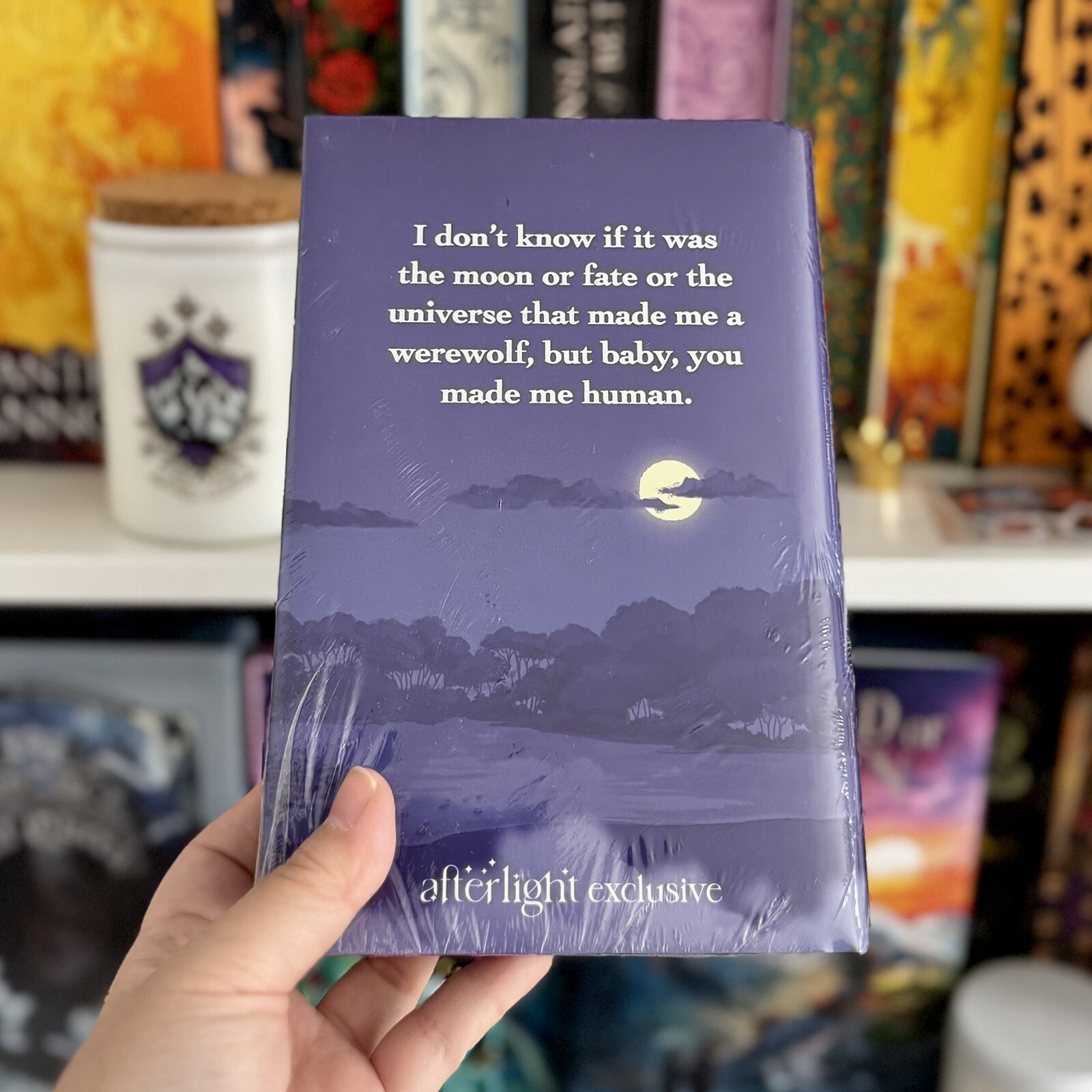 Fan Service by Rosie Danan (Illumicrate/Afterlight Special Edition)