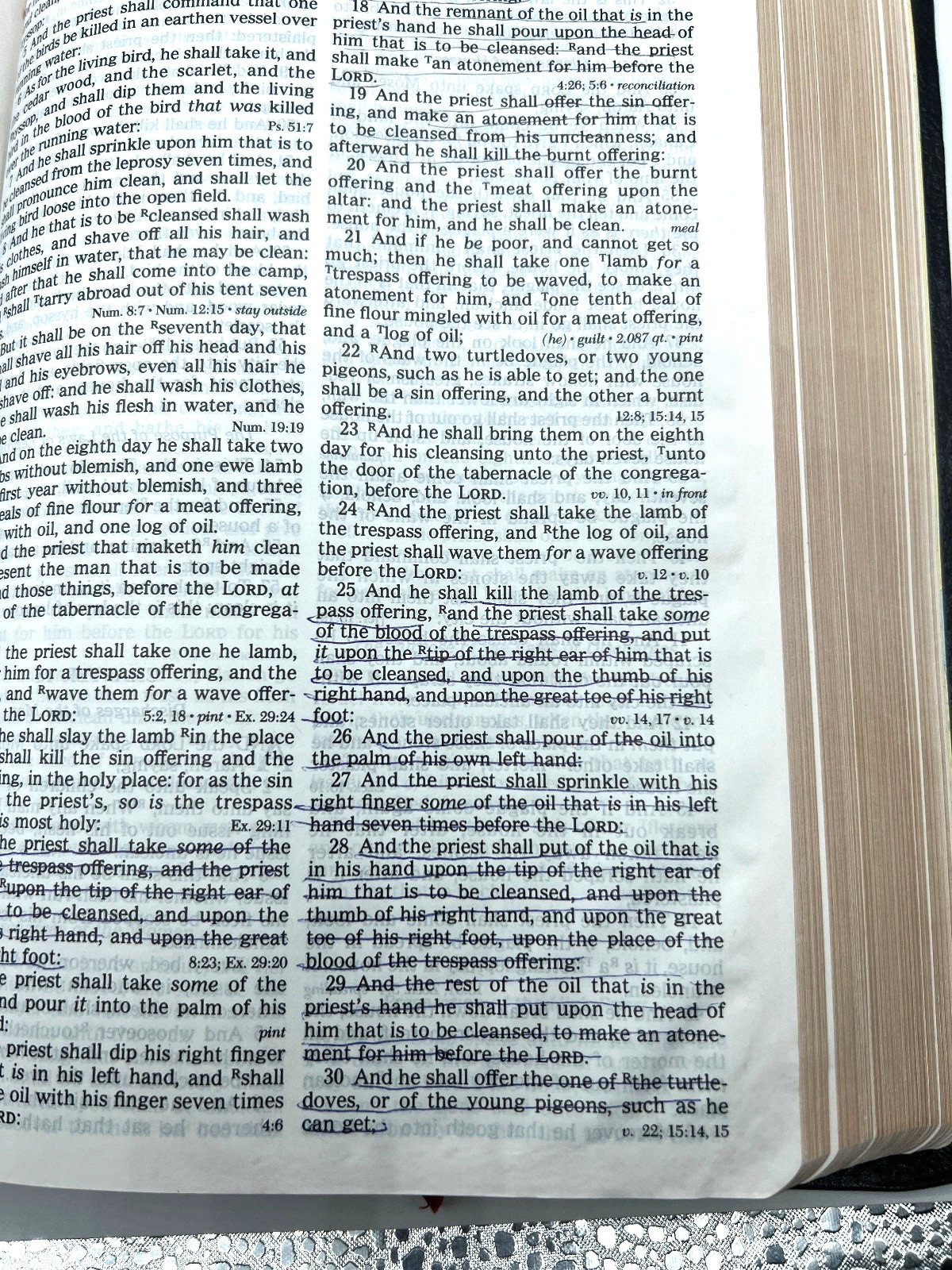 Prophecy Study Bible John Hagee Ministries Bonded Leather NKJV 1997