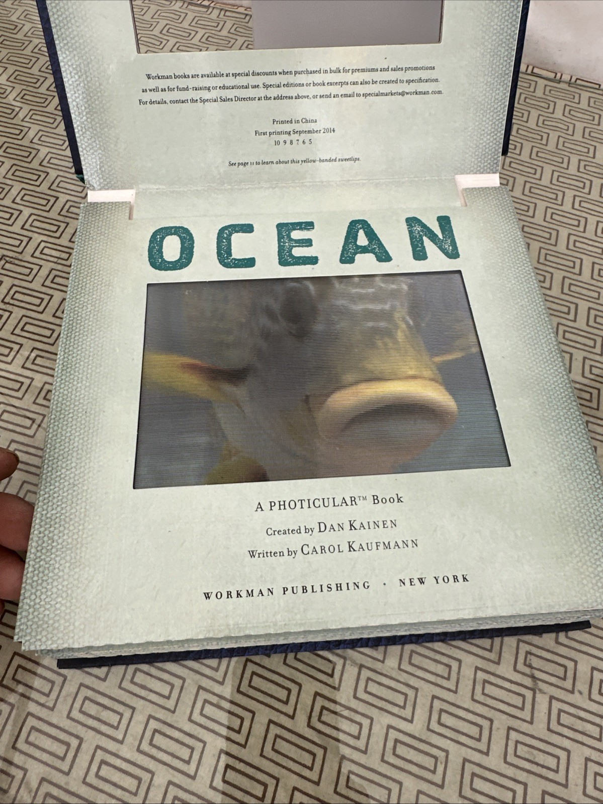 A Photicular Book by Carol Kaufmann and Dan Kainen (2012, Hardcover) Safari2 Mor