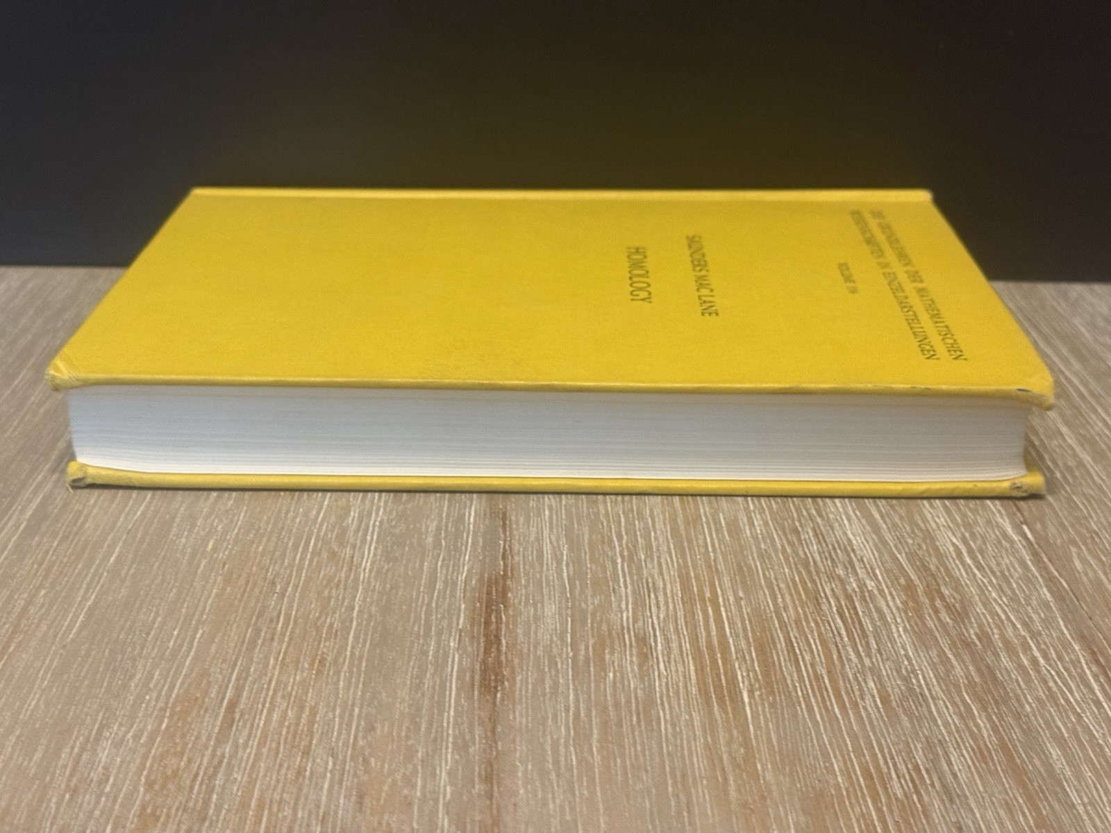 Homology by Dr. Saunders MacLane 1963 HC / Volume 114