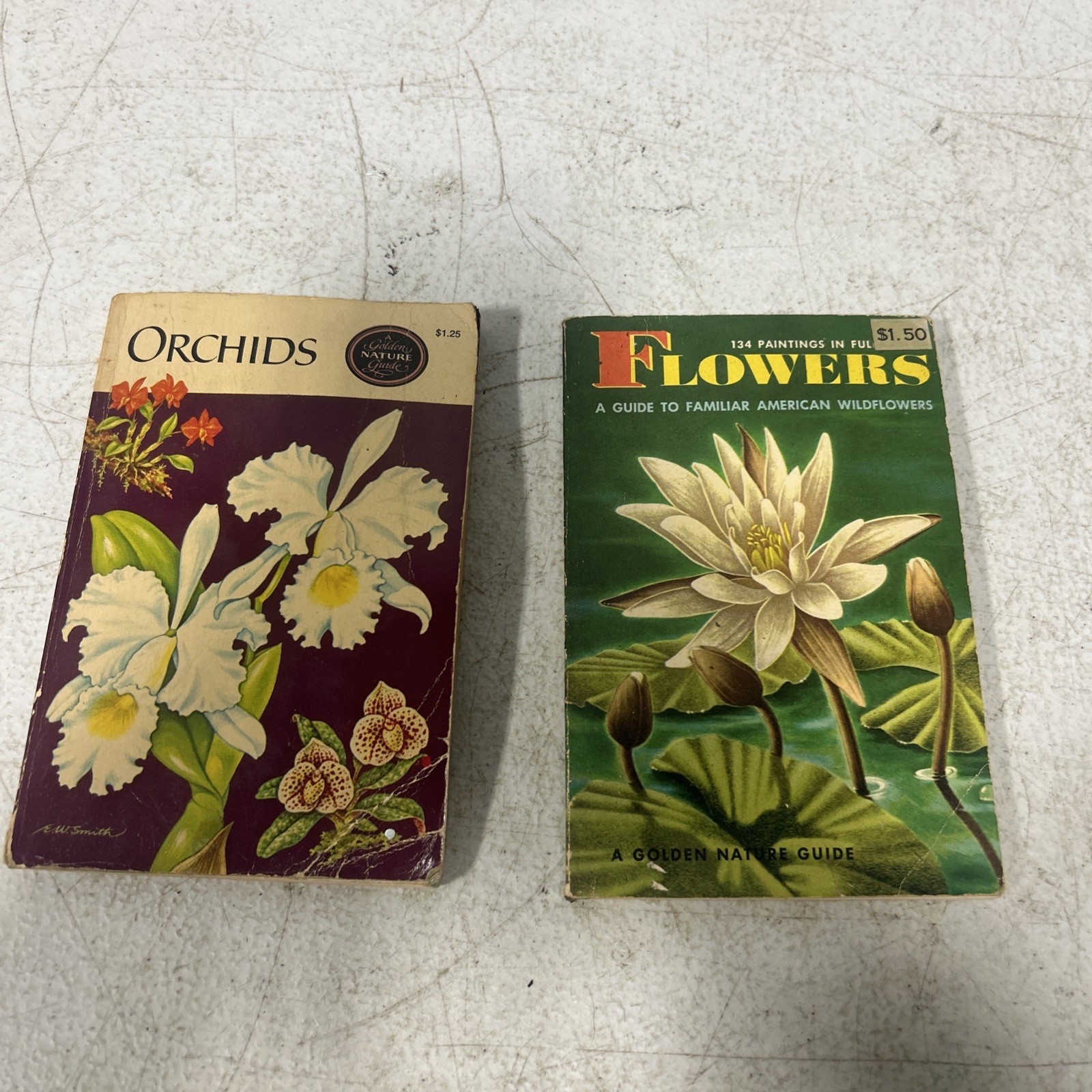 A Golden Nature Guide Lot Of 2 Books Flowers And Orchids