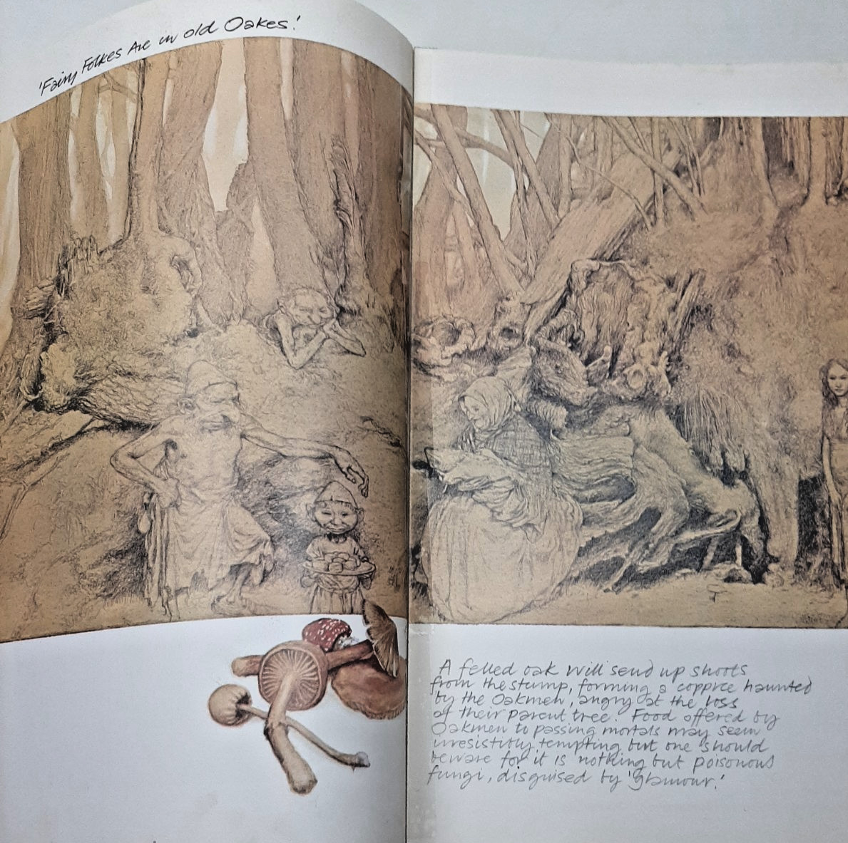 Vintage Faeries Book 1978 First Edition Printing Brian Froud Mythical Fairy Art